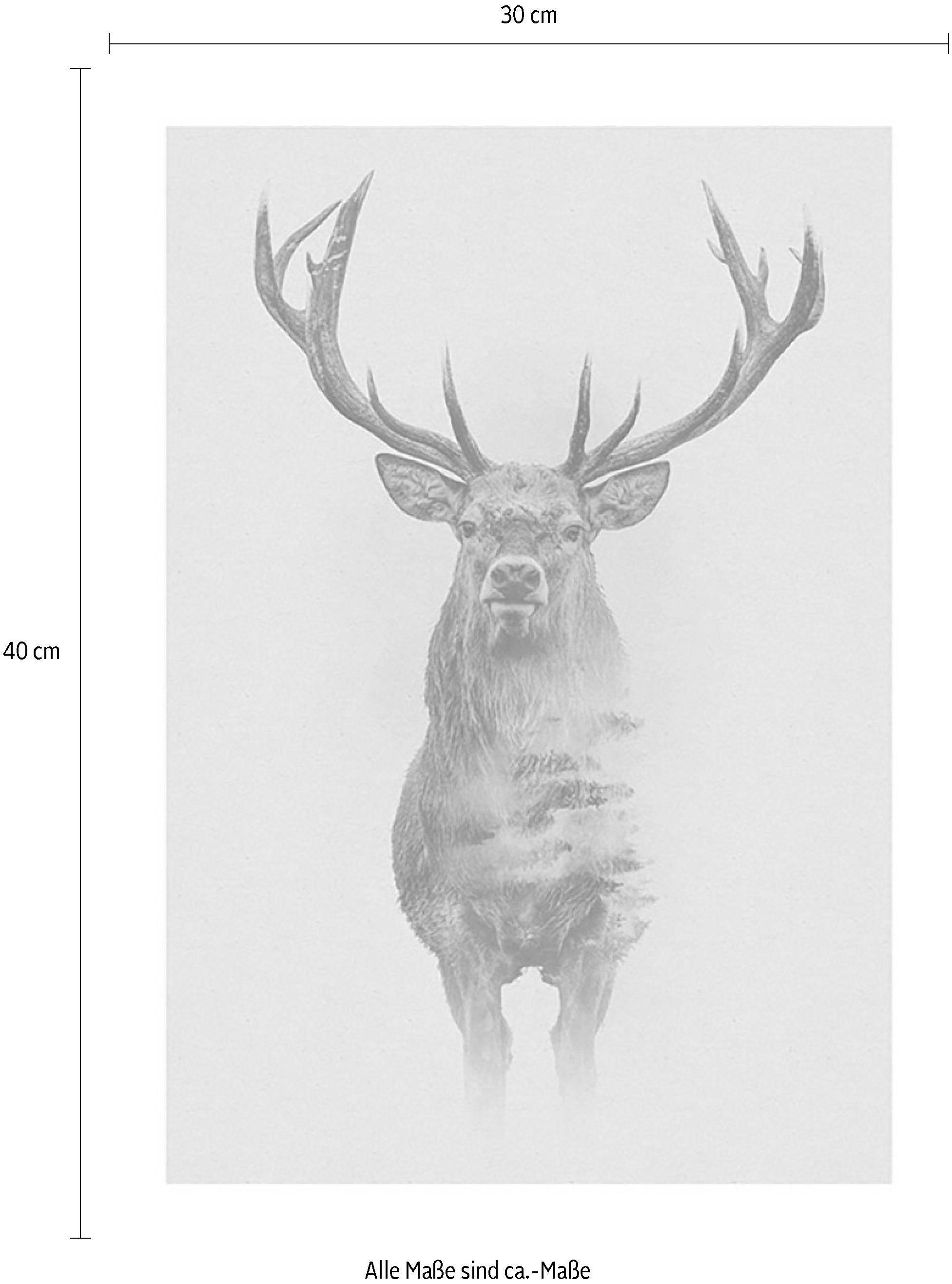 Komar Bild »Animals Forest Deer«, Tiere, (1 St.), Wandbild zur Dekoration - ohne Rahmen