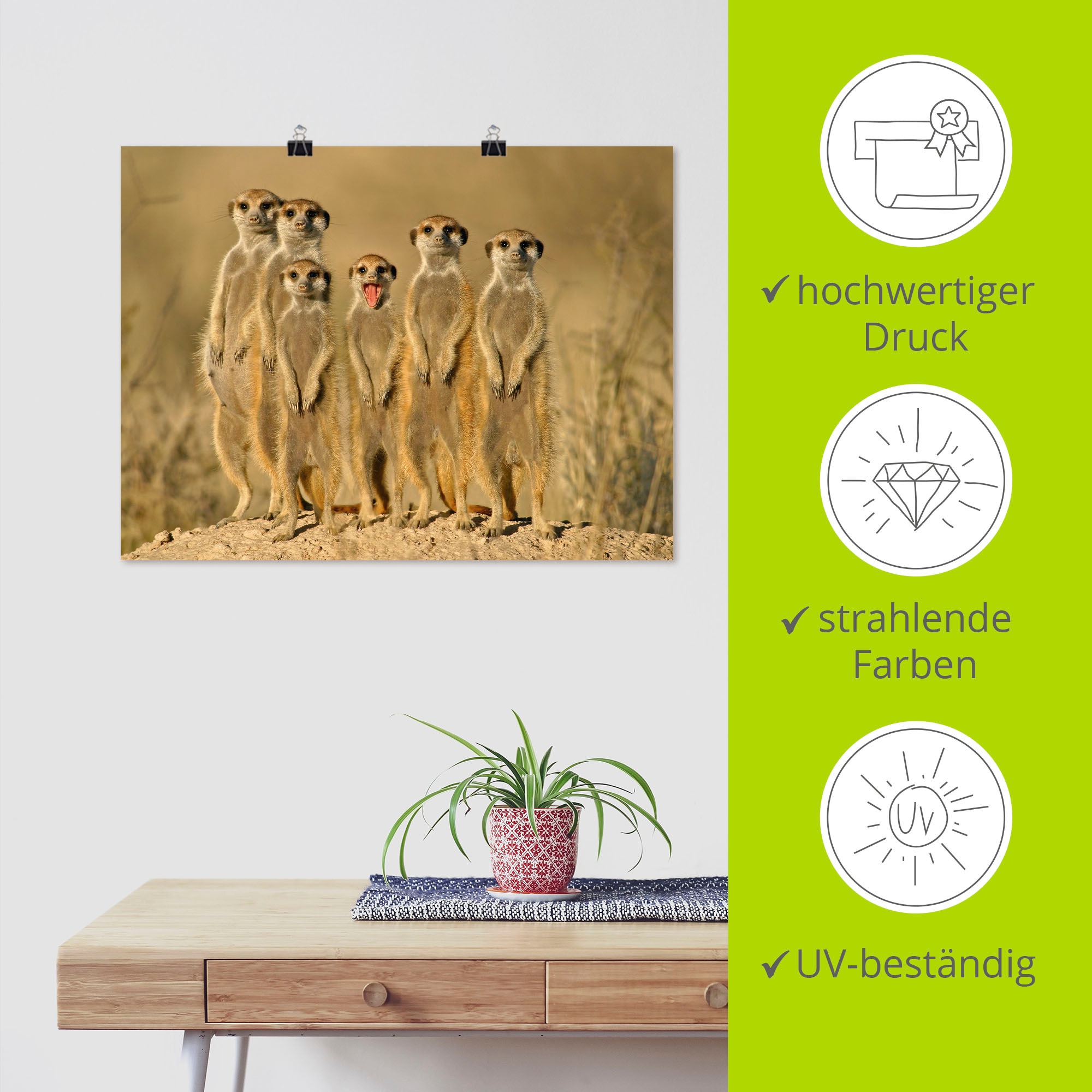 Artland Wandbild »Erdmännchen Familie« Wildtiere 1 Stk. tlg. als Poster in verschied. Größen