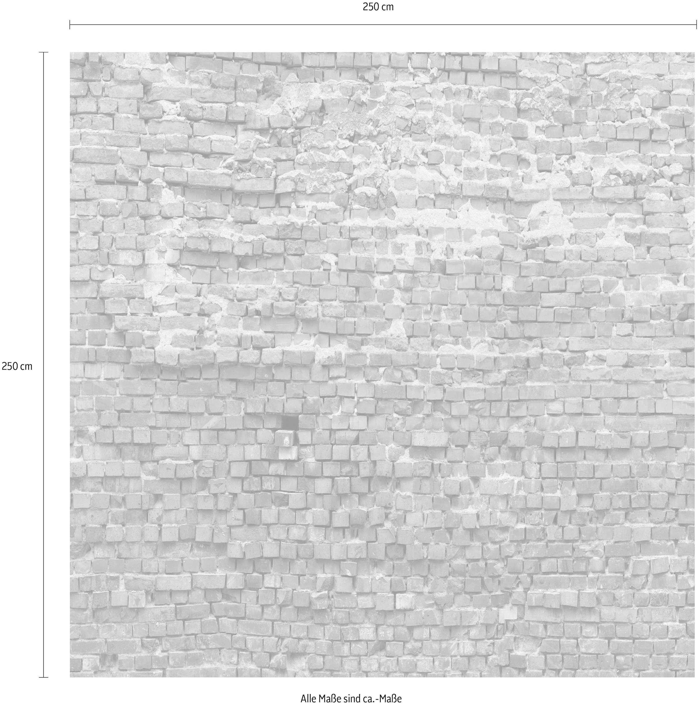 Komar Vliestapete »Digitaldruck Vlies - Bricklane - Größe 250 x 250 cm«, bedruckt, Wohnzimmer, Schlafzimmer
