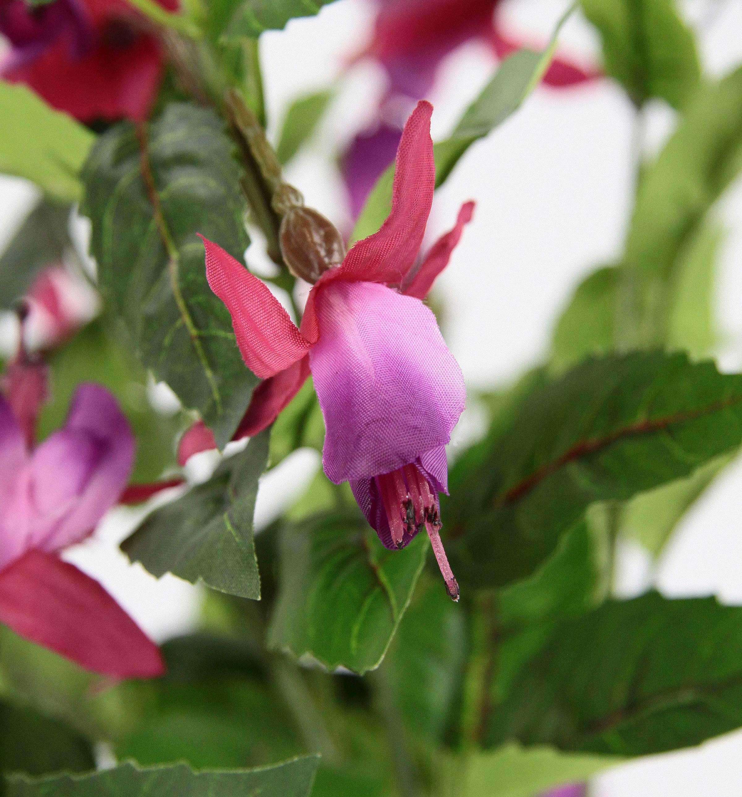 I.GE.A. Kunstblume »Fuchsien«, Im Topf Zimmerpflanze Deko Doppelblütenblätter Topfpflanze Hybrid Hort