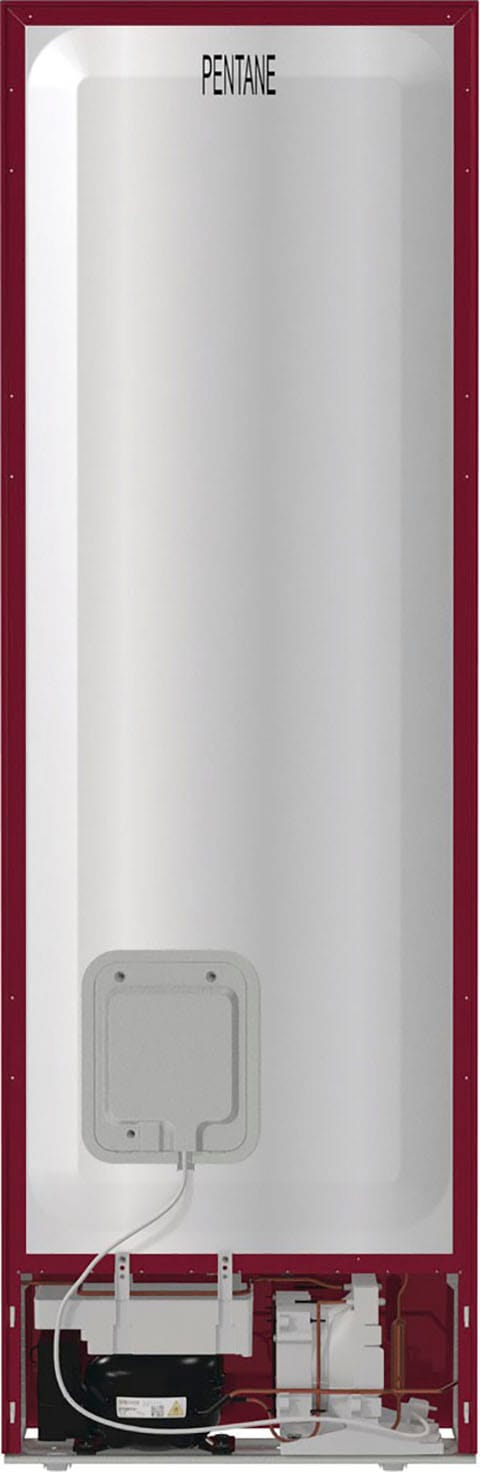 GORENJE Kühl-/Gefrierkombination »NK79B0DR«
