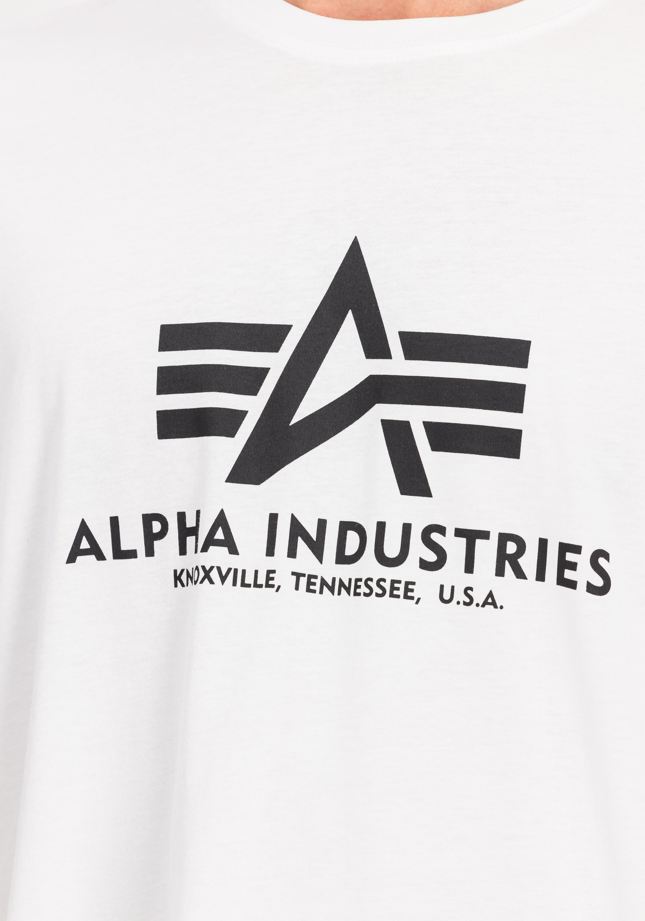 Alpha Industries T-Shirt »Alpha Industries Men - T-Shirts Basic T-Shirt 2 Pack«