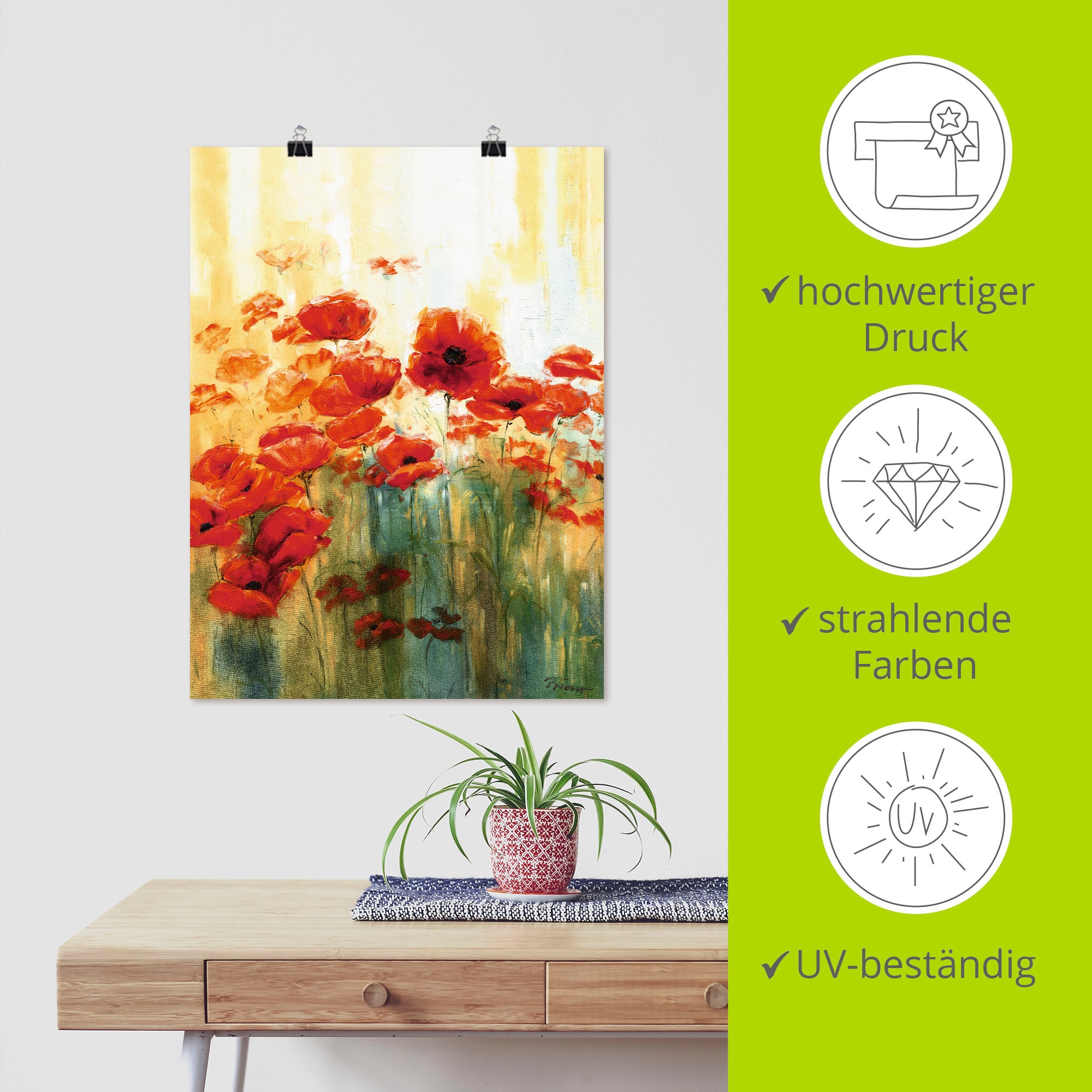 Artland Poster »Mohnwiese« Blumen 1 Stk. tlg. ohne Rahmen