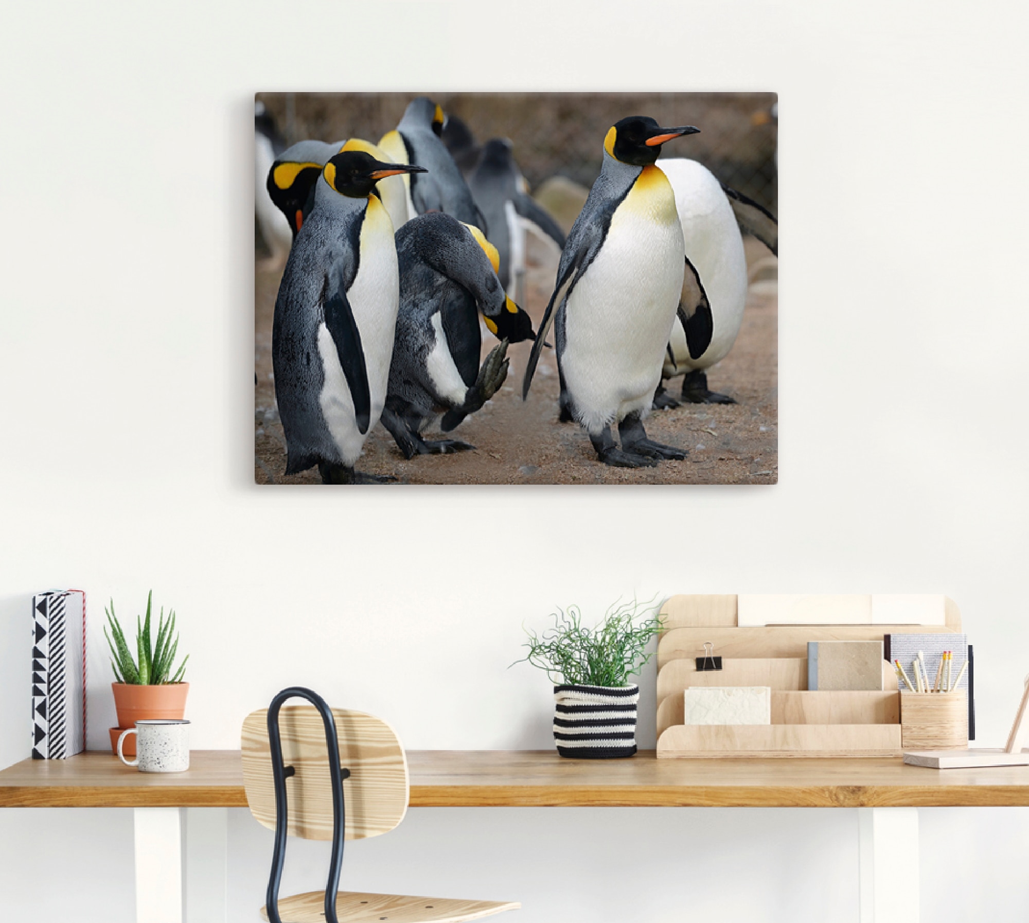 Artland Wandbild »Königspinguin«, Vögel, (1 St.), als Leinwandbild, Wandaufkleber in verschied. Größen