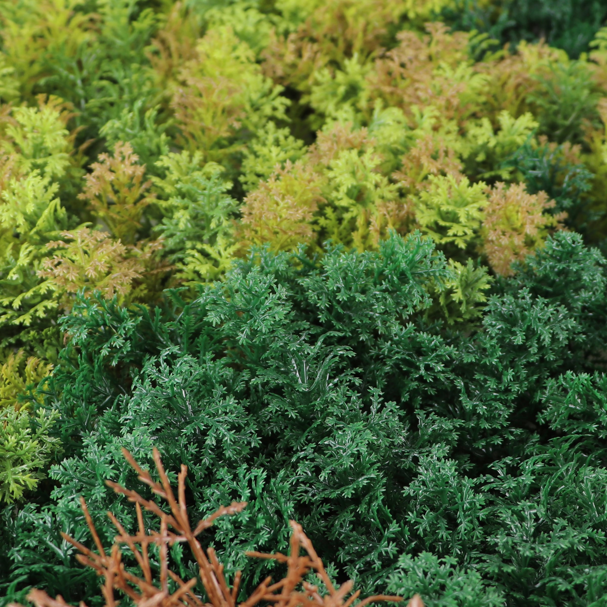 Primaflor-Ideen in Textil Kunstpflanze »Kunstpflanze Pflanzenwand 100x100« Wanddeko, realistische Optik, In- und Outdoor geeignet, UV-beständig