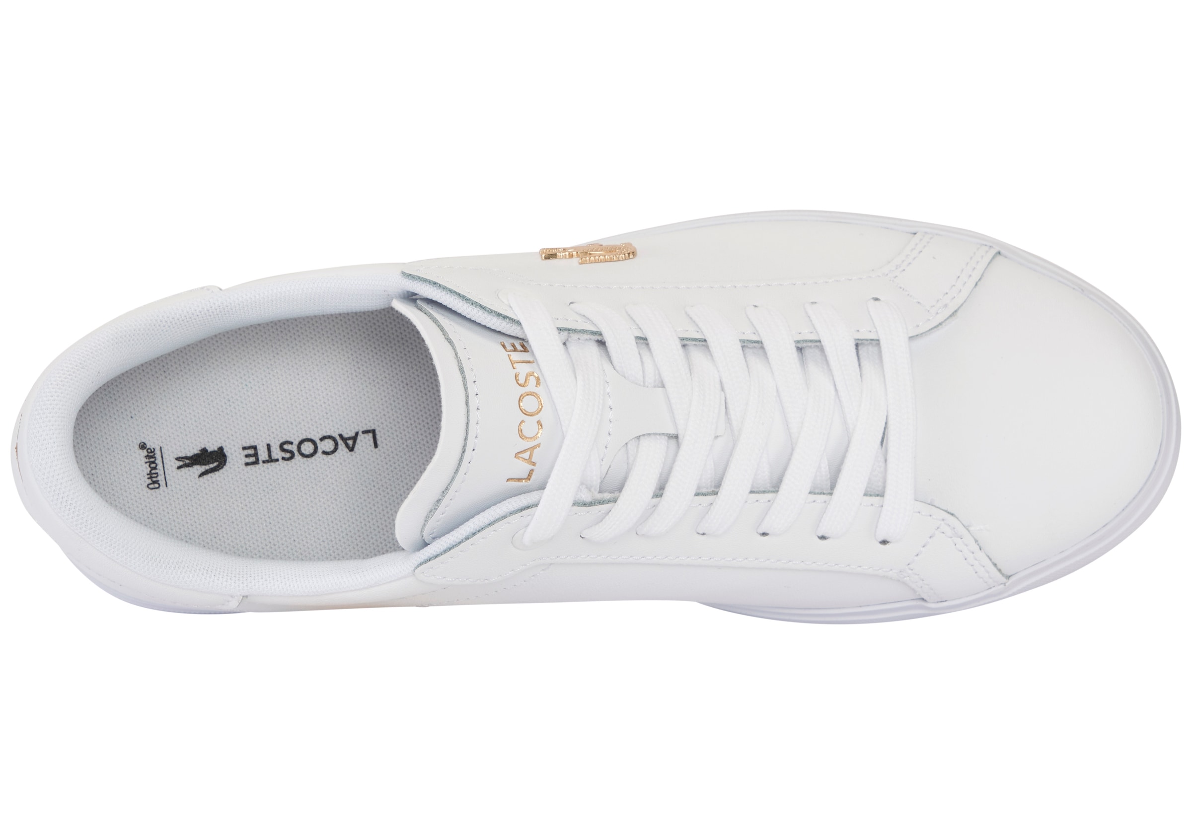 Lacoste Sneaker »POWERCOURT«