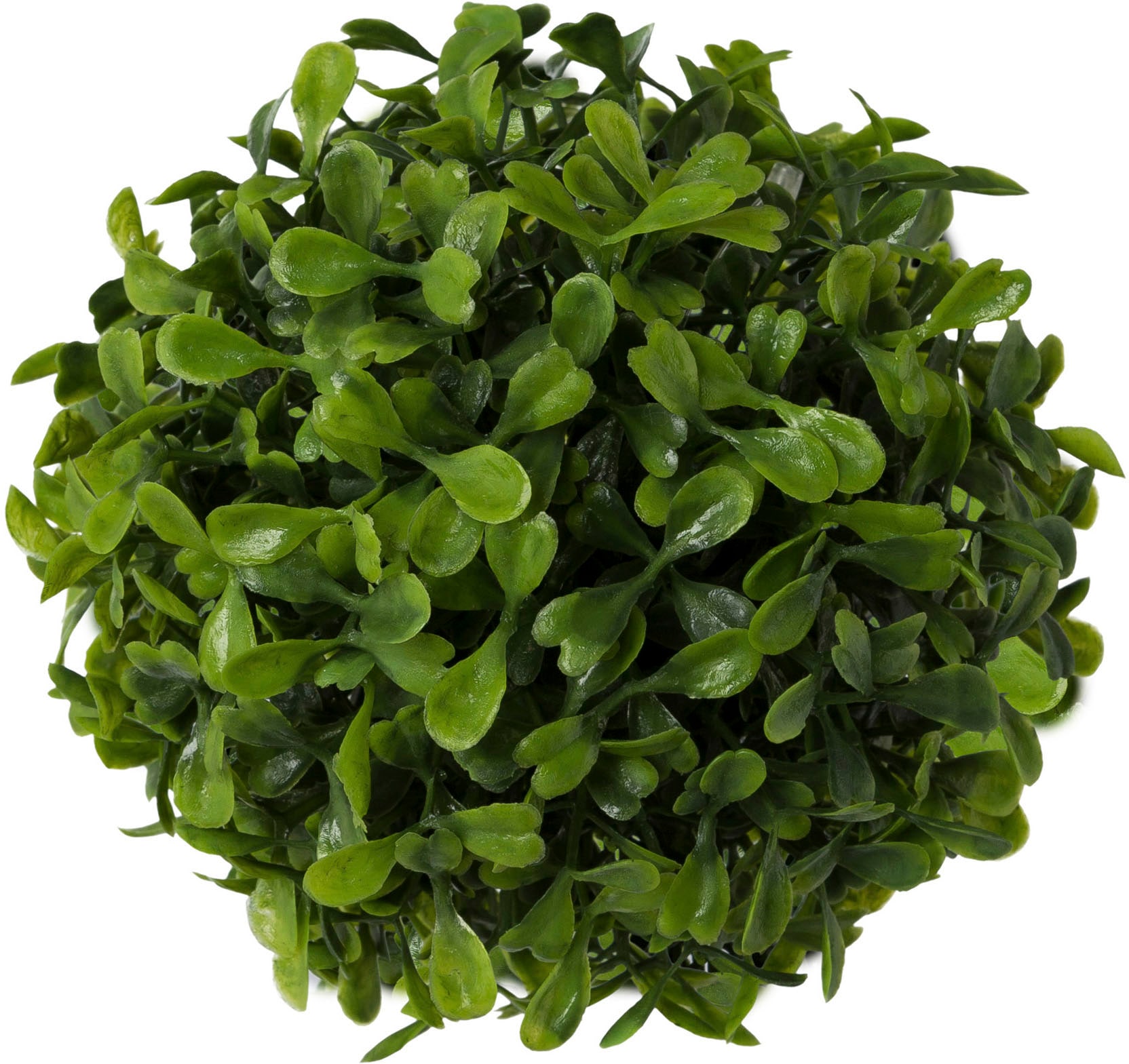 Creativ green Kunstpflanze »Buchsbaumkugel«