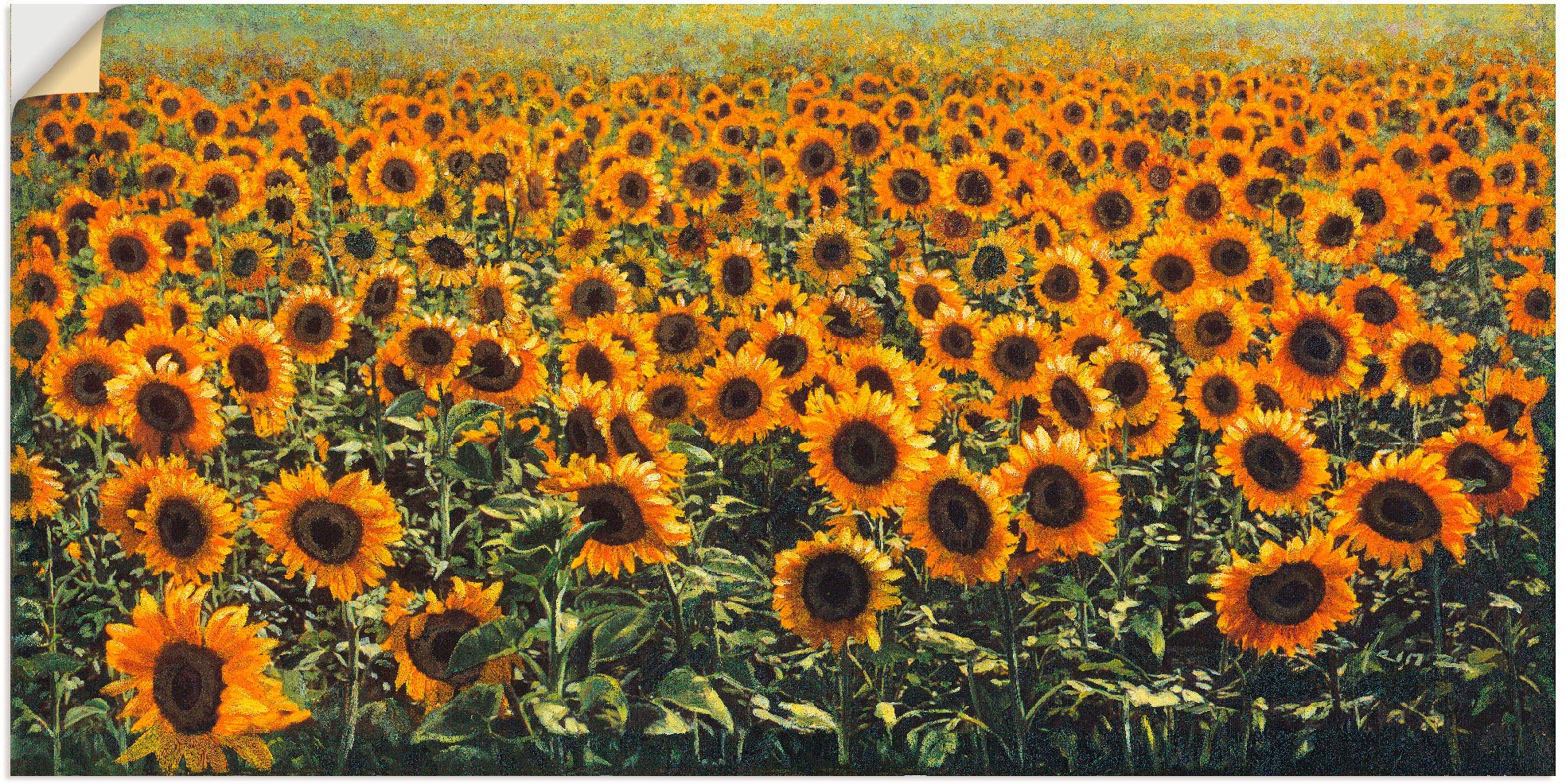 Artland Wandbild »Sonnenblumenfeld«, Blumenwiese, (1 St.), in vielen Größen & Produktarten - Alubild / Outdoorbild für den Außenbereich, Leinwandbild, Poster, Wandaufkleber / Wandtattoo auch für Badezimmer geeignet