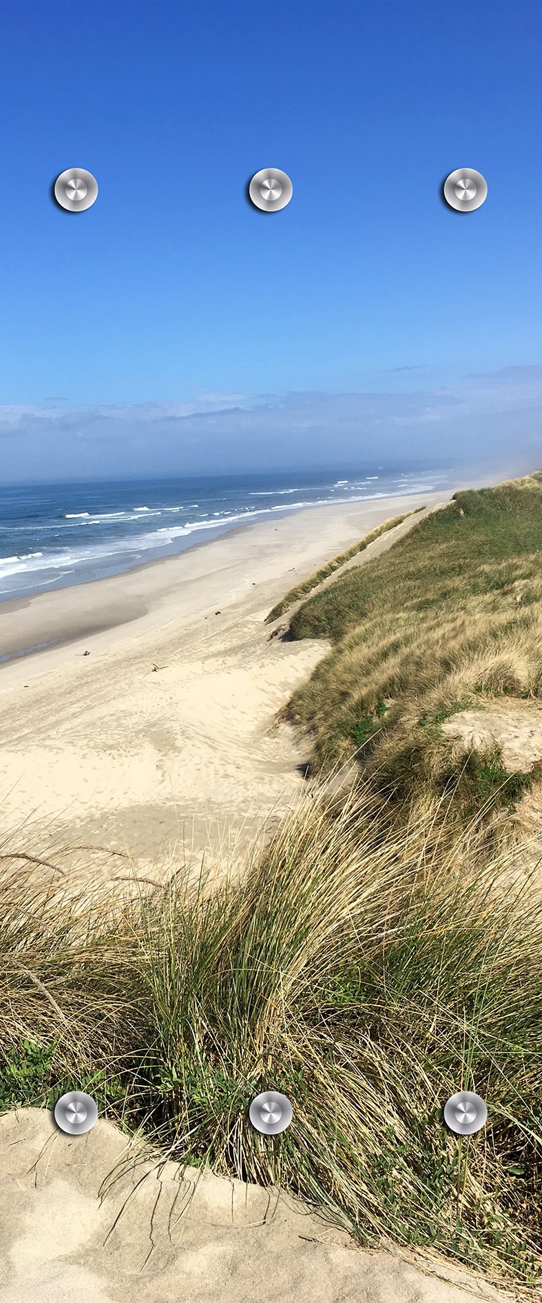 queence Garderobenpaneel »Wandgarderobe mit Motiv Foto Dünen und Gräser inkl. Edelstahlhaken« 1 Stk. tlg. HD Premium Druck auf Acrylglas