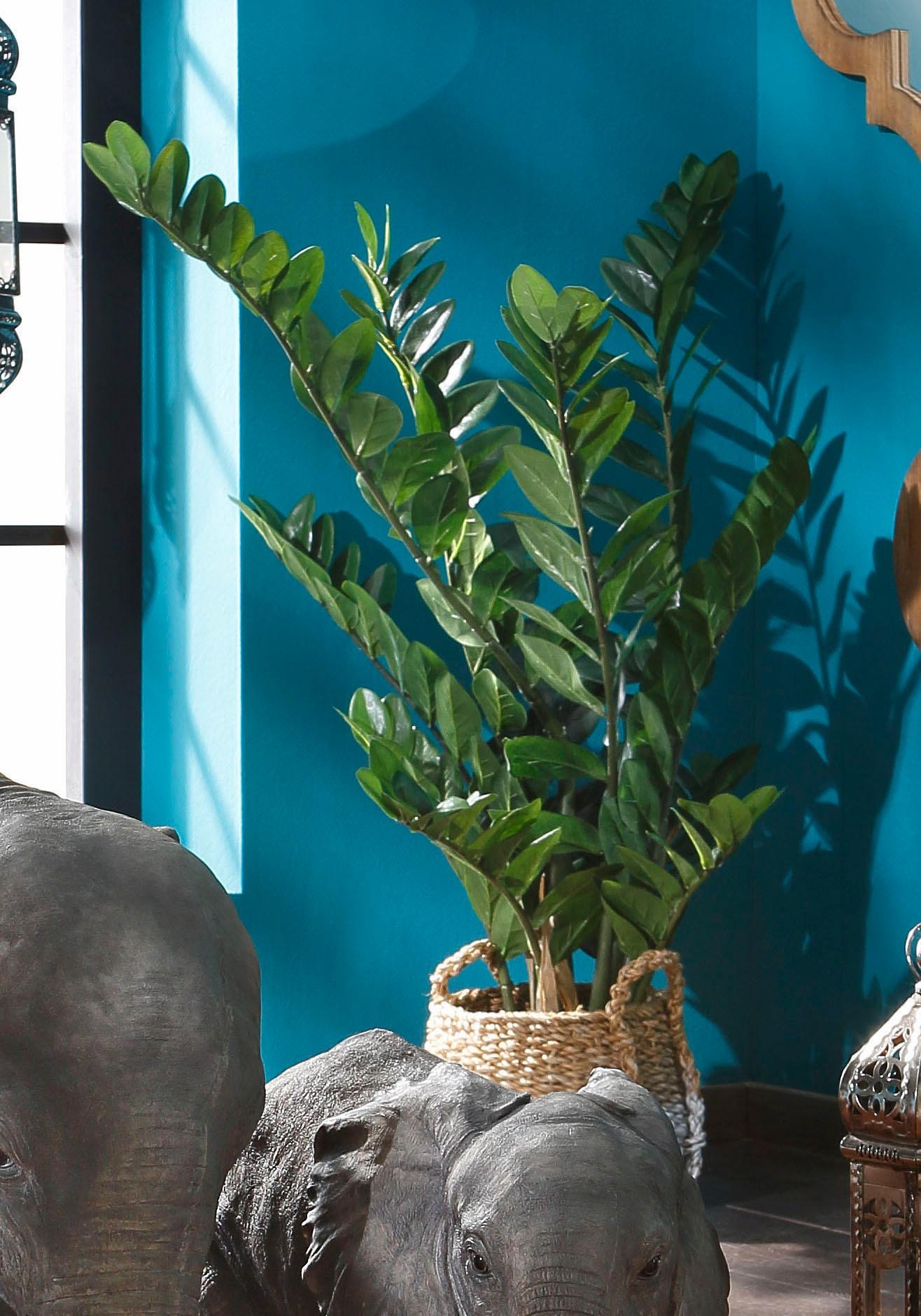Creativ green Kunstpflanze »Zamifolia«