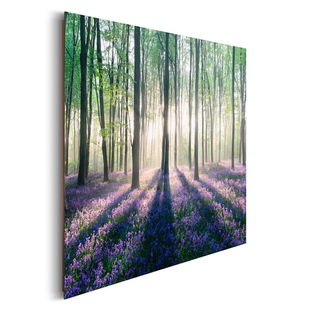 Home affaire Deco-Panel »Verzauberter Wald«