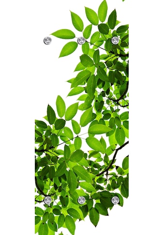 queence Garderobenleiste »Blätter«, mit 6 Haken, 50 x 120 cm kaufen