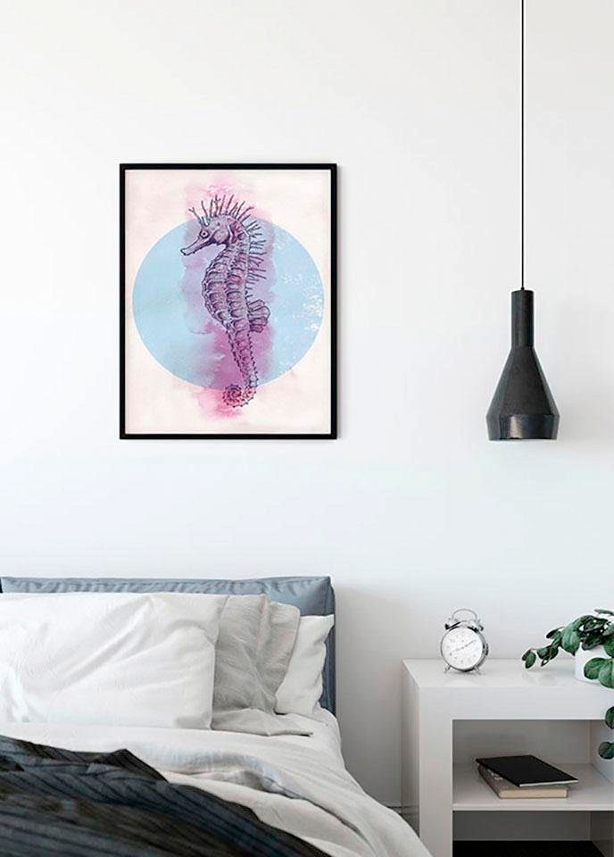 Komar Bild »Sea Horse Circle«, Tiere, (1 St.), Wandbild zur Dekoration - ohne Rahmen