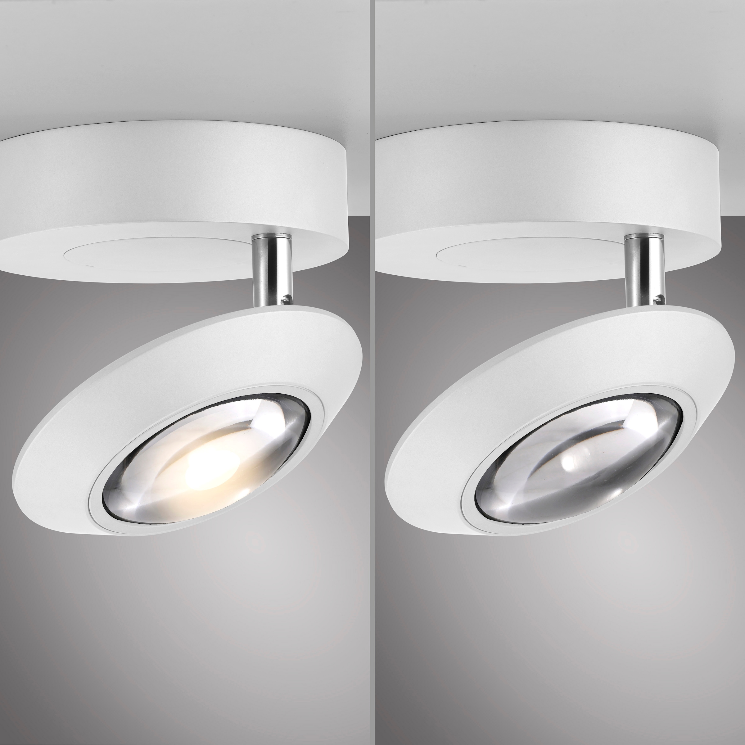 Neuhaus PURE LED Deckenleuchte »PURE Oculis« LED-Board 1 Stk. Warmweiß Dimmfähig über separaten Tronicdimmer, dreh- & schwenkbar