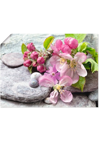 Artland Wandbild »Apfelblüten«, Blumen, (1 St.), als Alubild, Leinwandbild,... kaufen