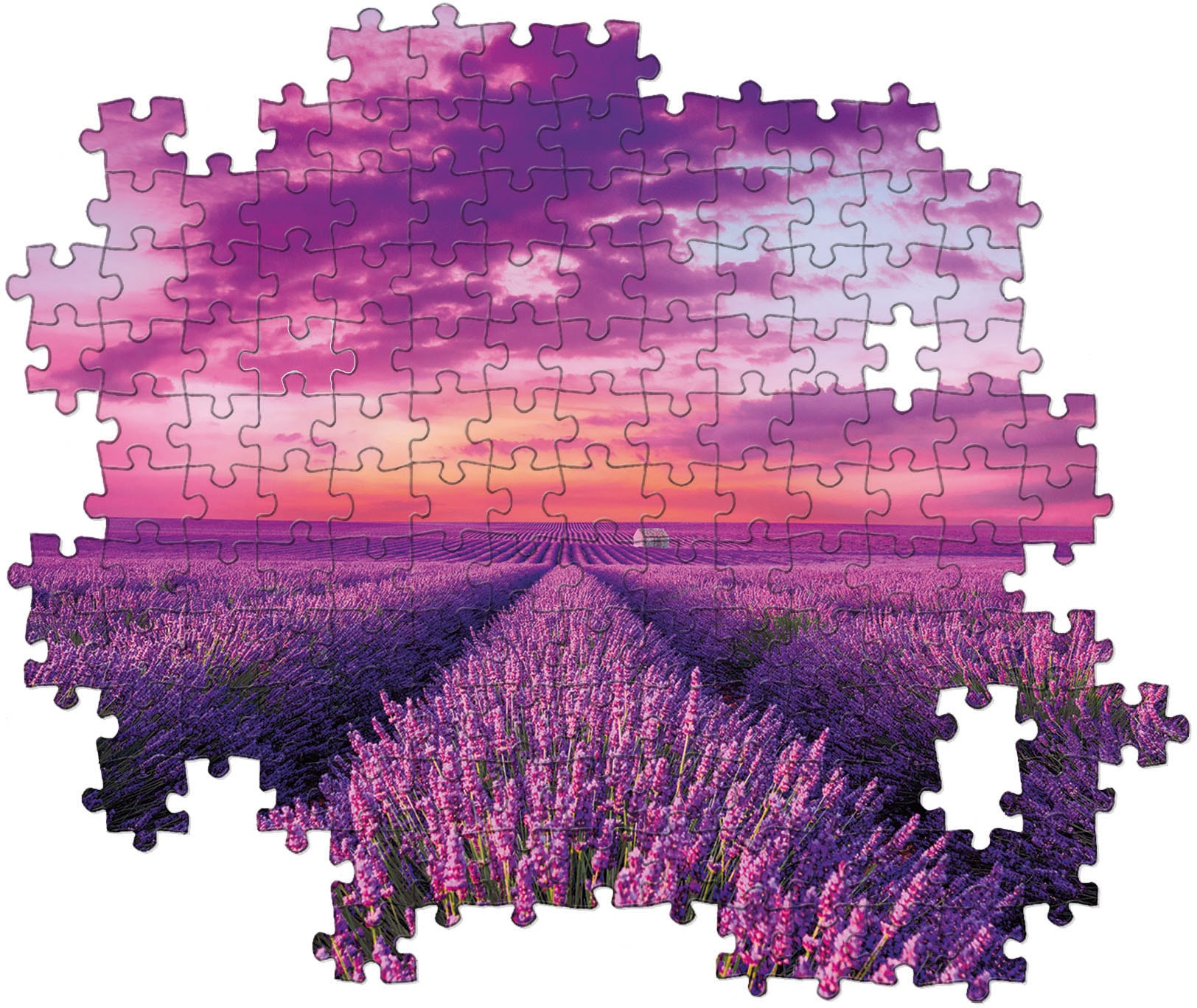 Clementoni® Puzzle »High Quality Collection, Lavendel-Feld«, Made in Europe