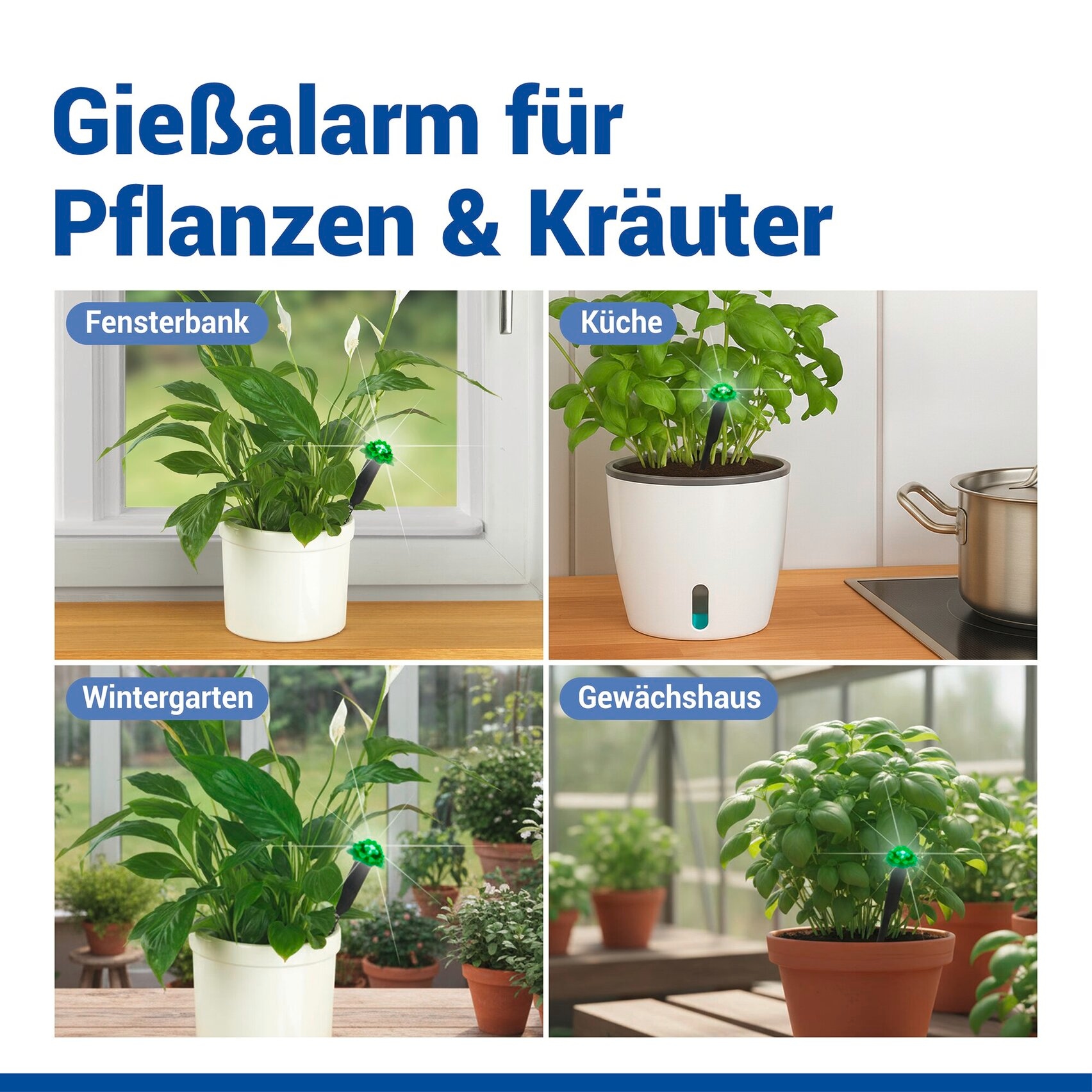 Maximex Pflanzenlampe »Modell Pflanzen-Alarm« Farbwechsler LED Boden-Feuchtigkeitsmesser für Pflanzen mit Ampelsystem