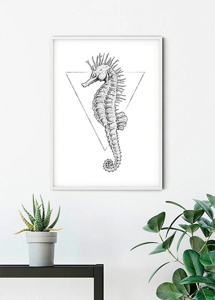 Komar Bild »Sea Horse White«, Tiere, (1 St.), Wandbild zur Dekoration - ohne Rahmen