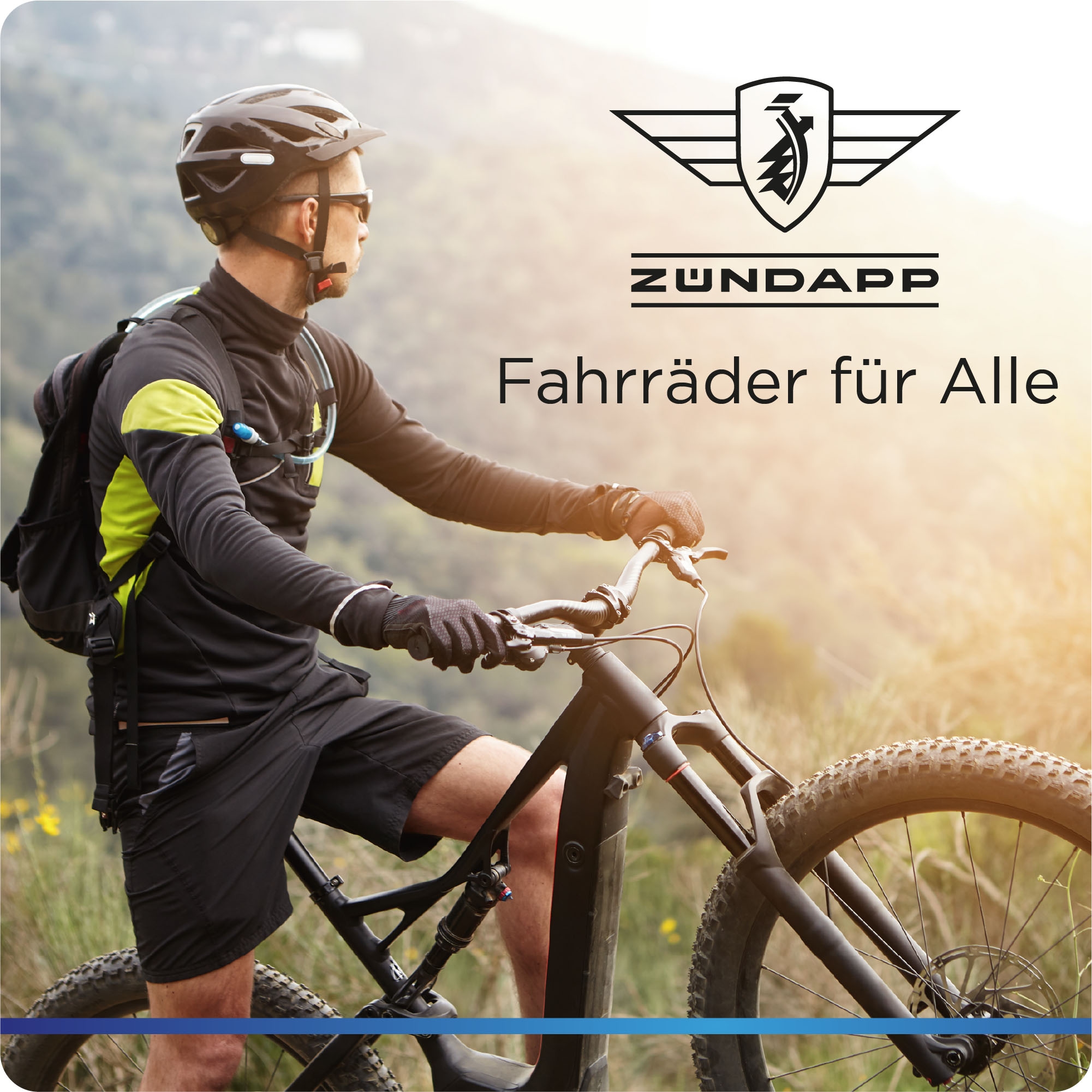 Zündapp E-Bike »XFS«, 27 Gang, Shimano, Tourney TX, Heckmotor 250 W, Pedelec, Elektrofahrrad für Damen u. Herren, MTB