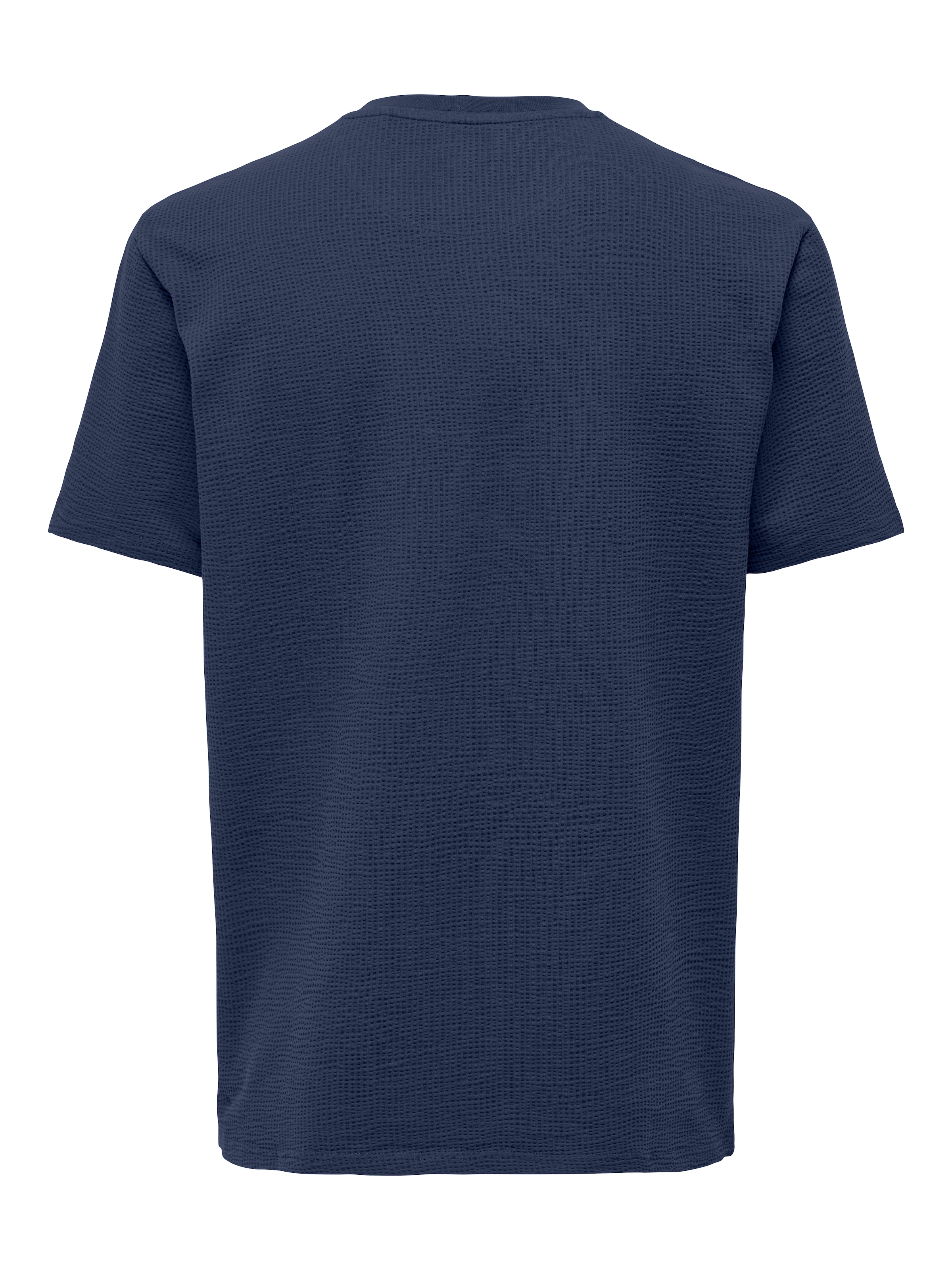 ONLY & SONS Rundhalsshirt »ONSKIAN LIFE REG SEERSUCKER SS TEE NOOS«