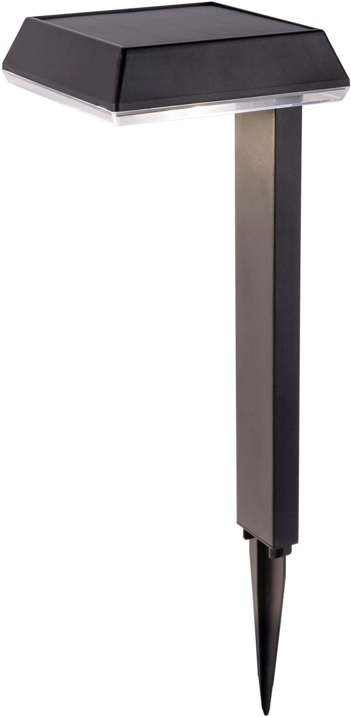 näve LED Solarleuchte »Sigi« LED-Modul 1 Stk. Warmweiß Dekoerdspieß, H: 79cm, Dämmerungssensor, schwarz, LED warmweiß