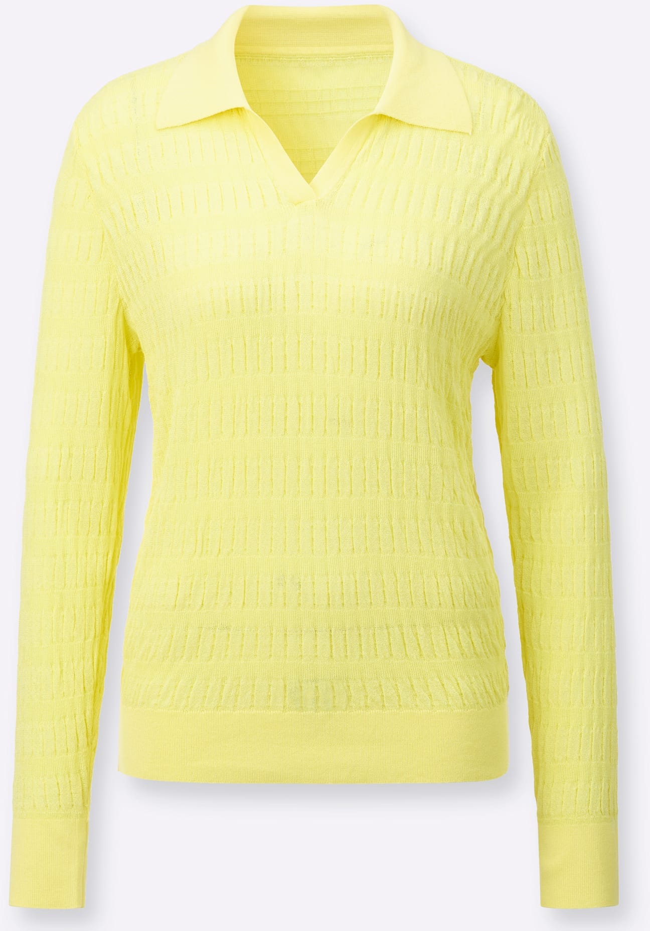 Inspirationen Polokragenpullover »Pullover«