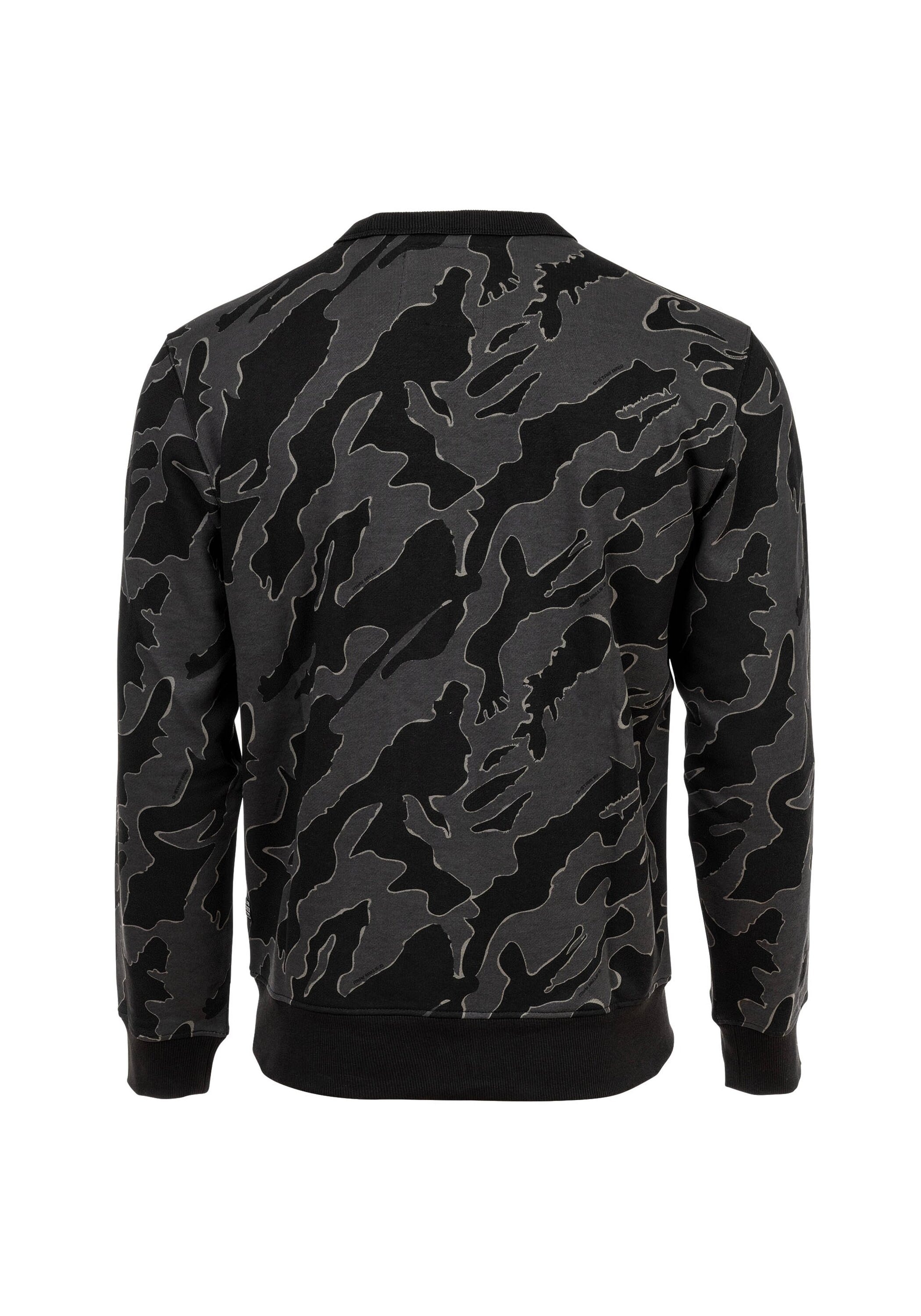 G-STAR Sweatshirt »Sweatshirt Island Camo«
