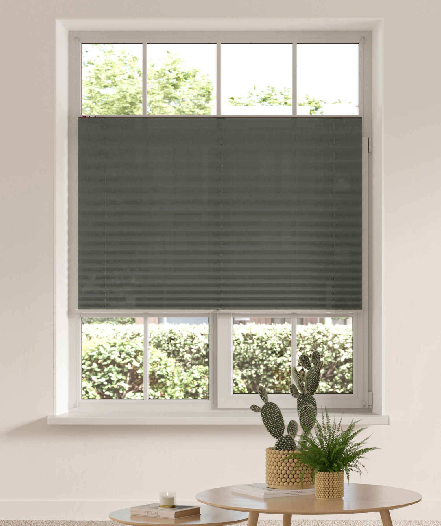 my home Plissee »DAHRA - in Crush-Optik«, Lichtschutz, ohne Bohren, verspannt, Fixmaß, Klemmträger