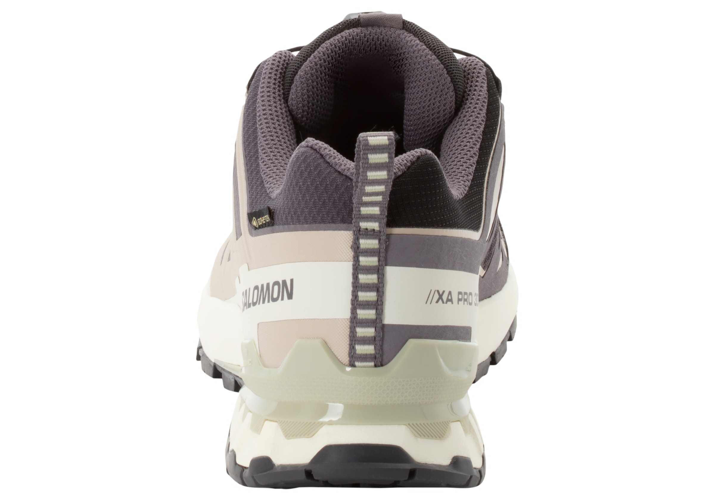 Salomon Trailrunningschuh »XA PRO 3D V9 GORE-TEX W«, wasserdicht