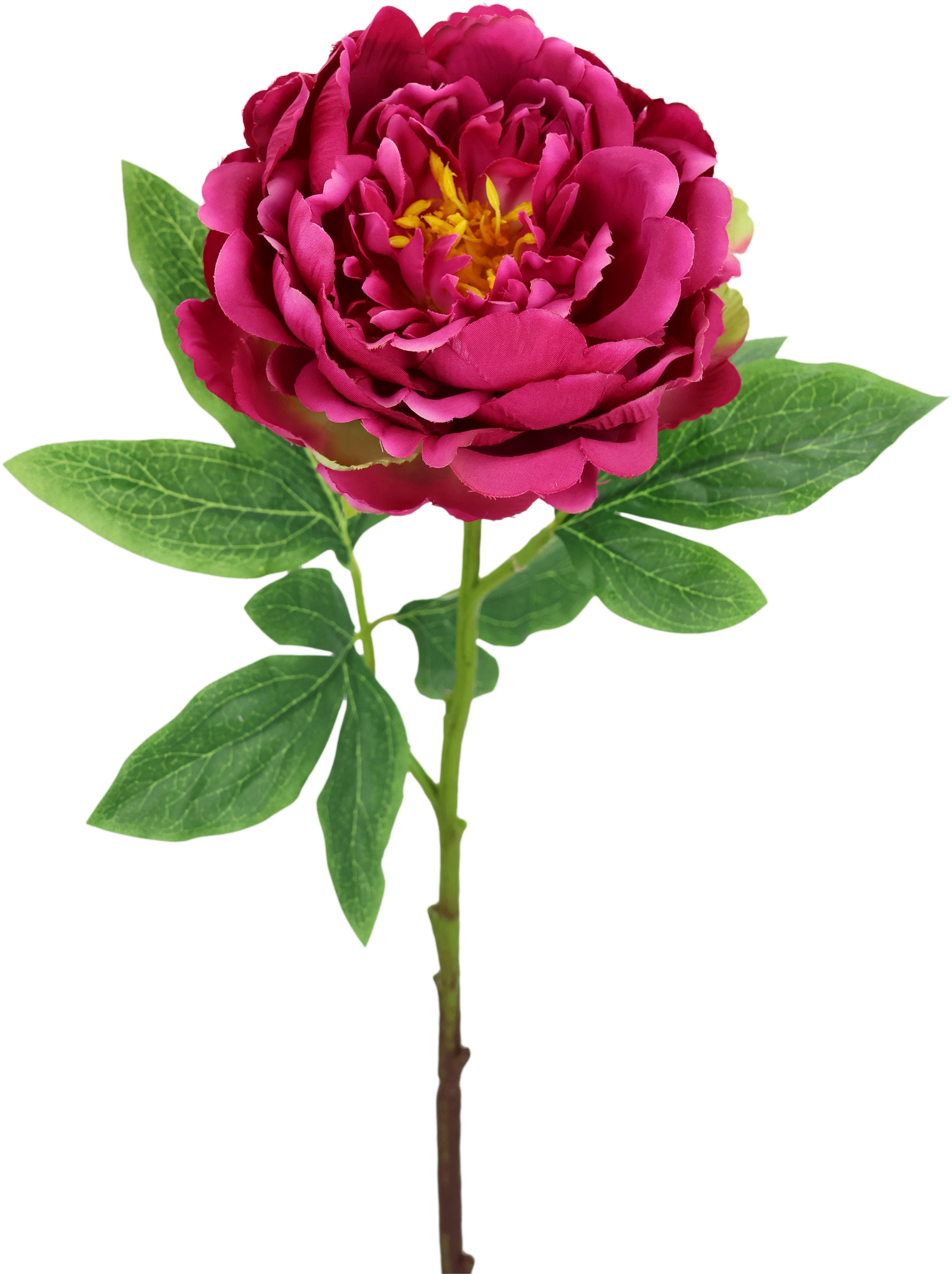 I.GE.A. Kunstblume »Päonie Bauernrose«, Pfingstrosen Einzelblume, 3er Set