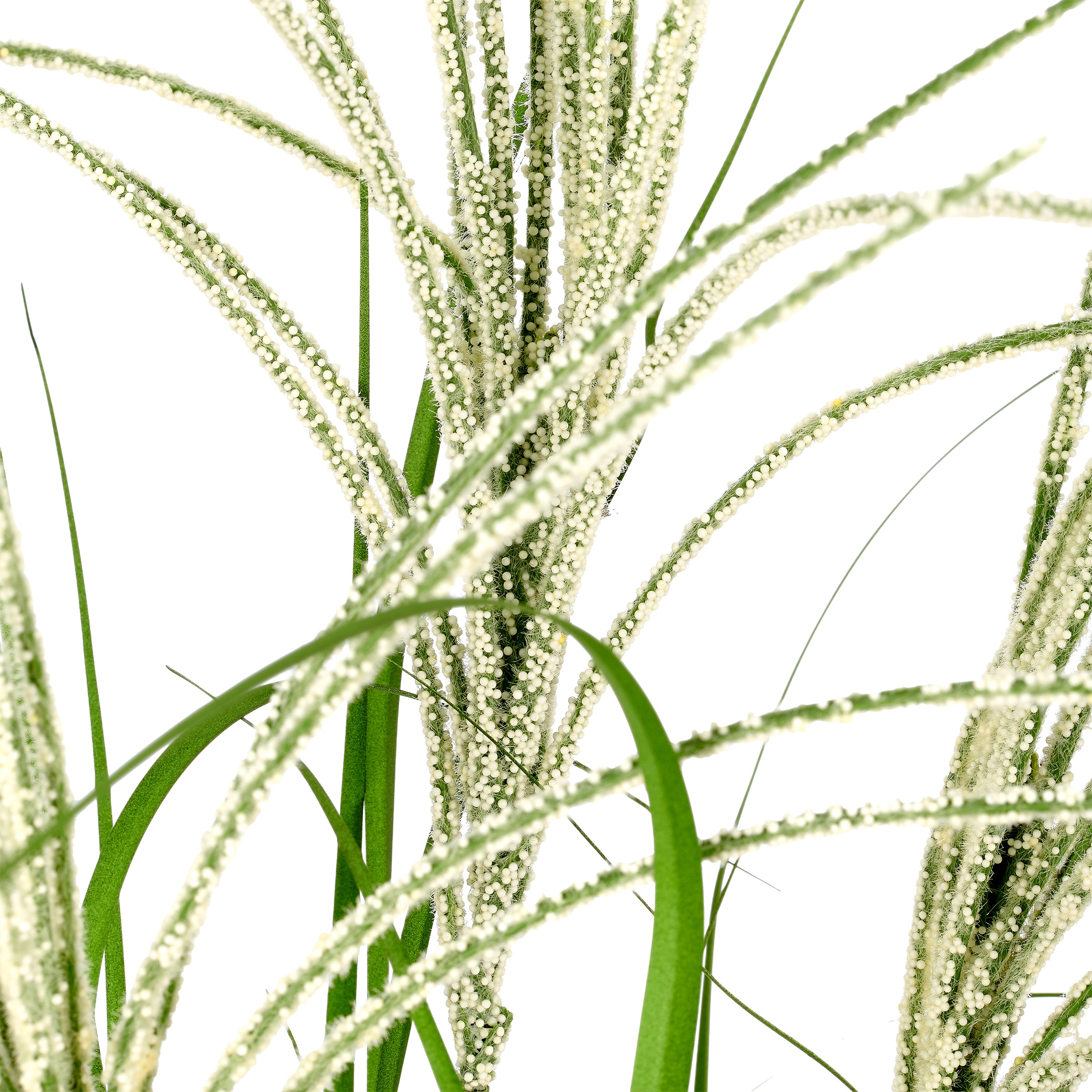 Creativ green Kunstgras »Grasbusch Miscanthus graziella« mit dekorativen Blüten