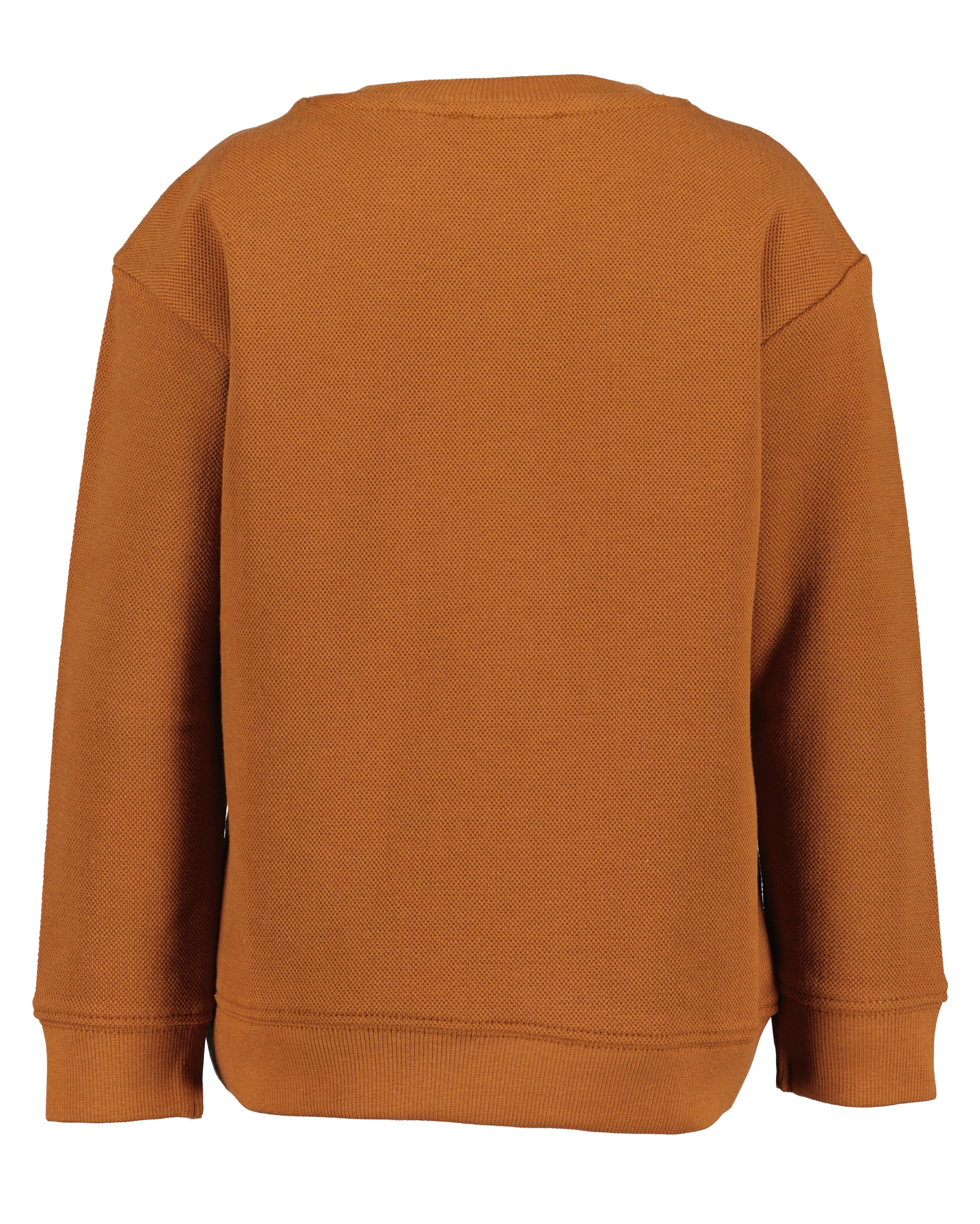 Blue Seven Sweater »Blue Seven Sweatshirt«