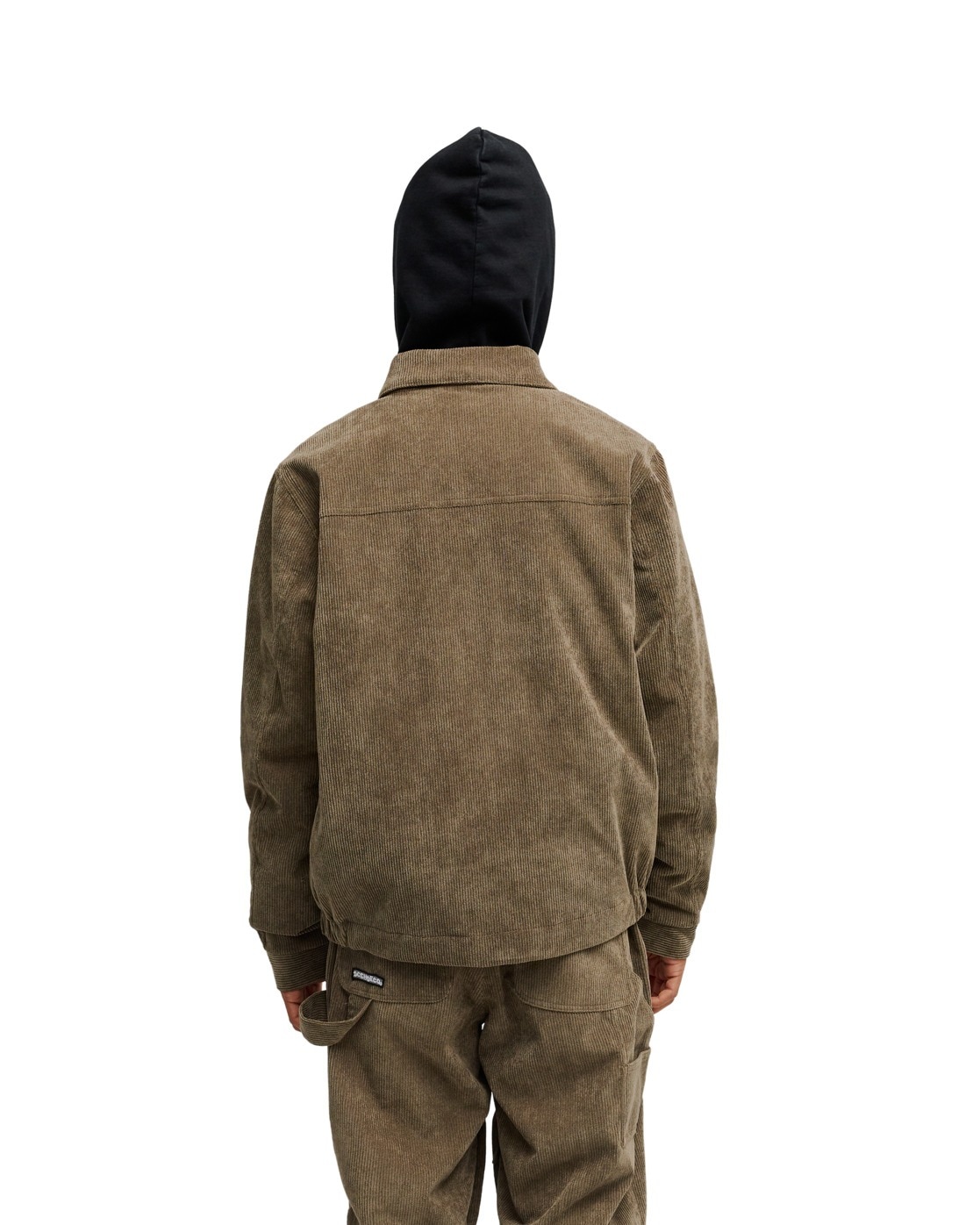 DC Shoes Snowboardjacke »Snow Chief 10K«