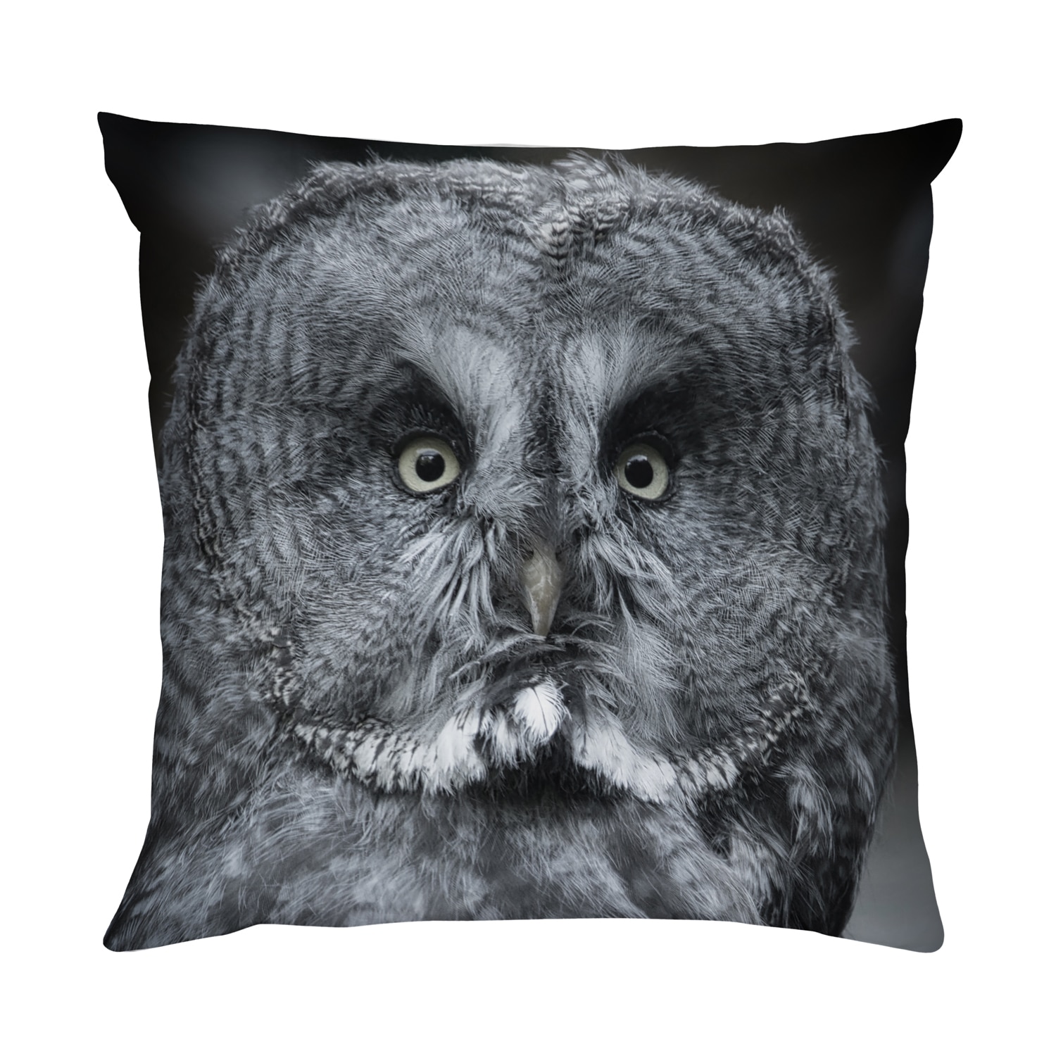 queence Dekokissen »Eulengesicht«, Kissenhülle mit HD Premium Druck, geruchsneutral, 40x40cm