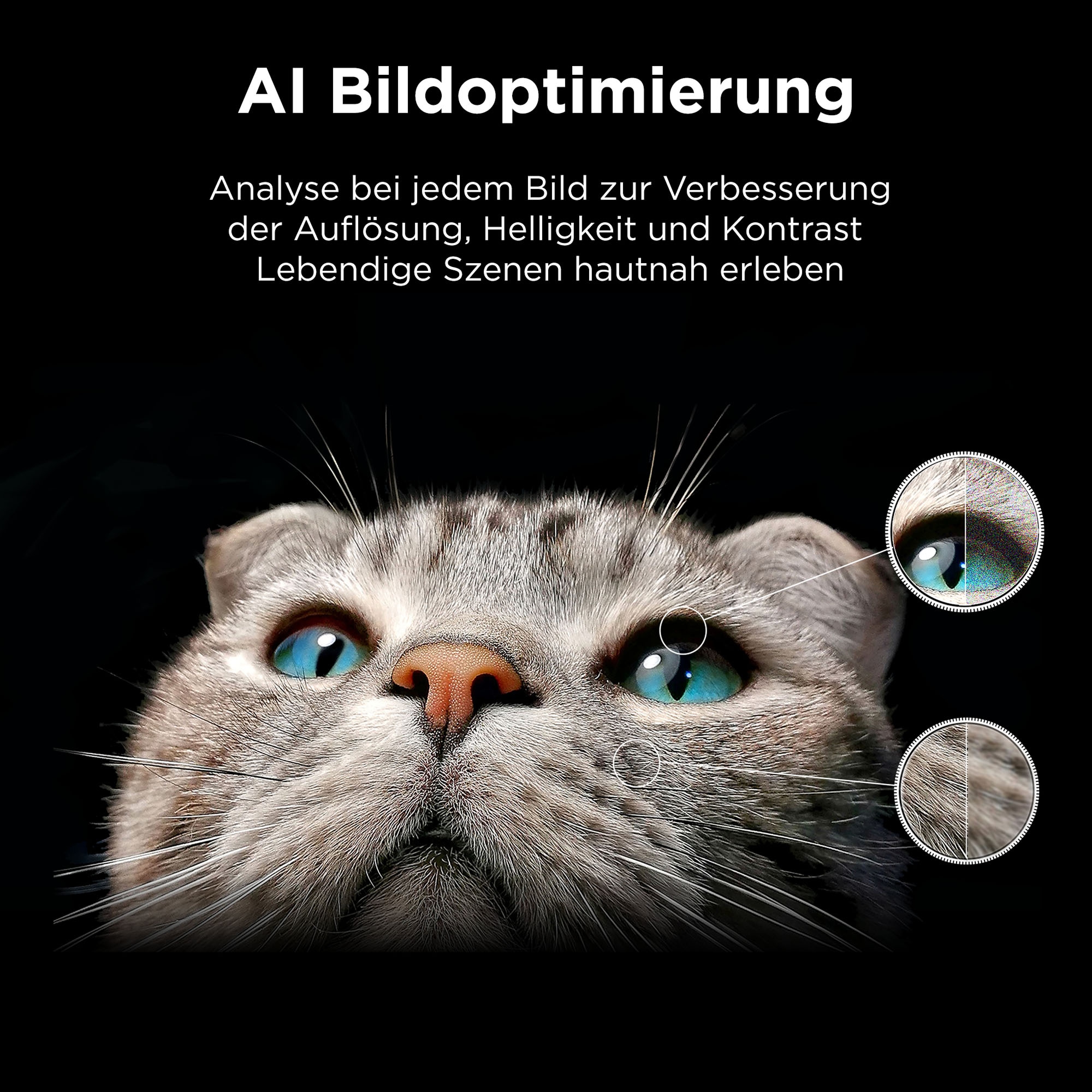 TCL QLED-Fernseher »50P71KX1« 126 cm/50 Smart-TV Multi-HDR , Dolby Vision, Smart TV, Airplay2, Dolby Atmos, Game Master