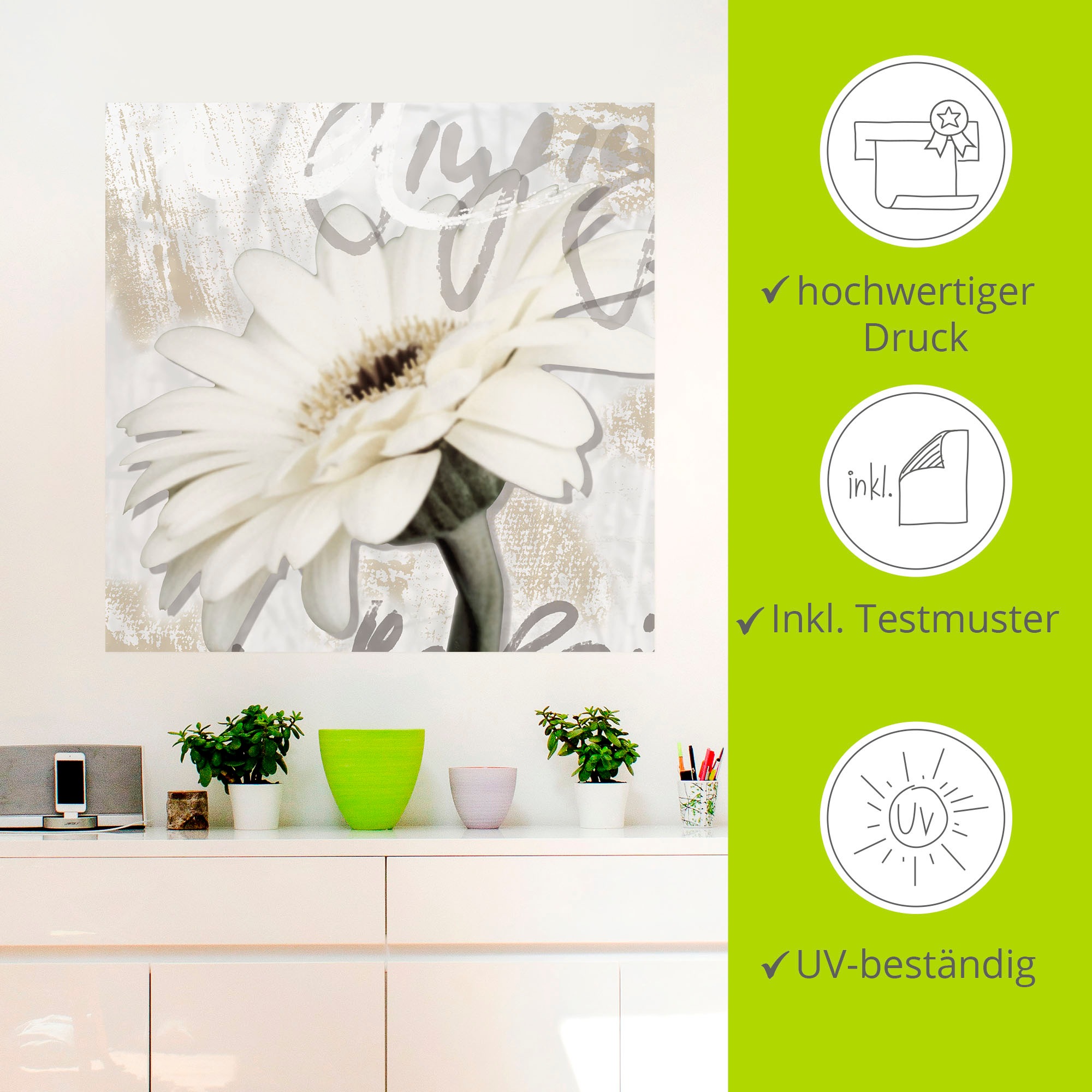 Artland Wandbild »Gerbera«, Blumenbilder, (1 St.), als Leinwandbild, Poster, Wandaufkleber in verschied. Größen