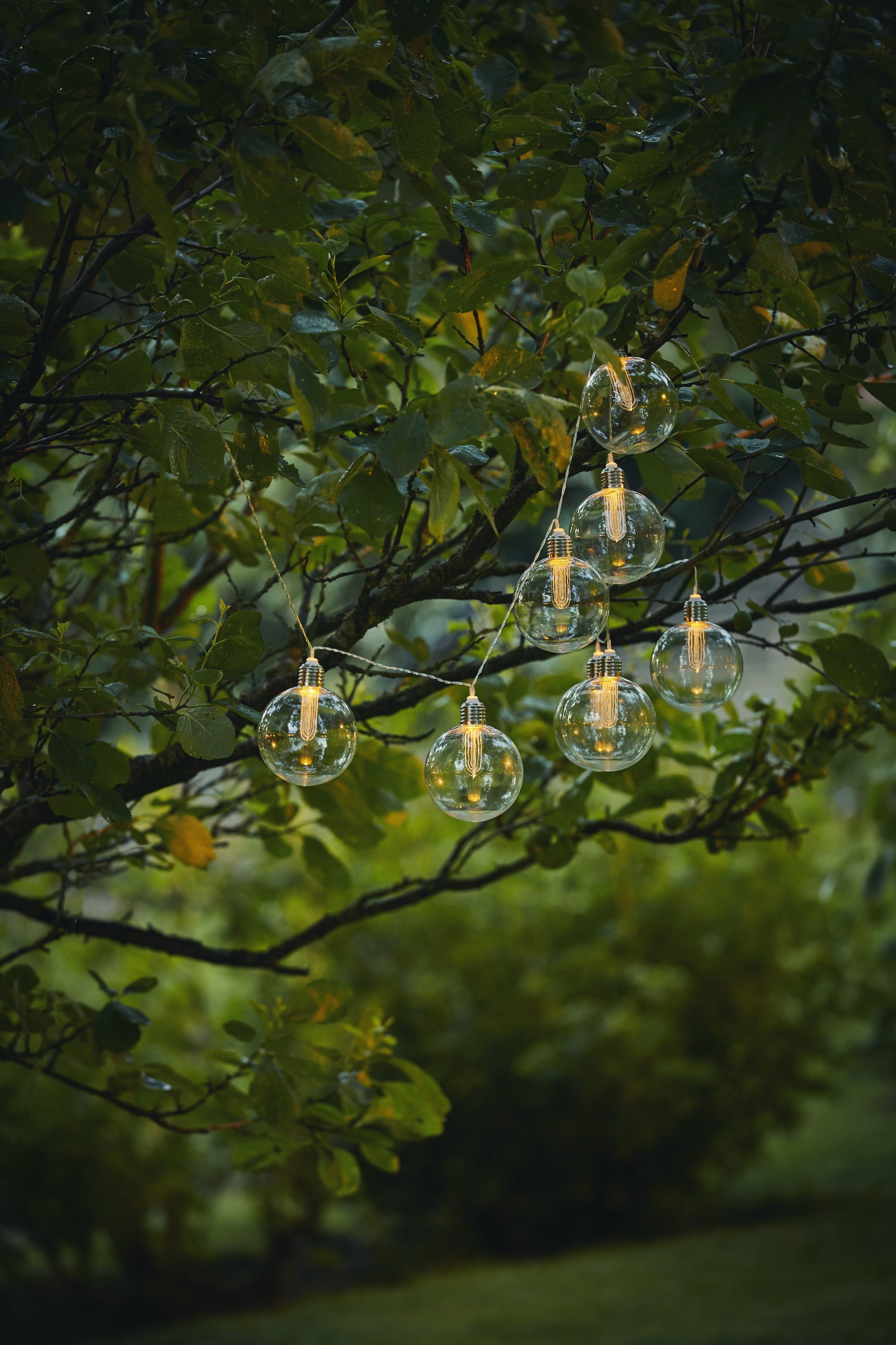 Parforce Traditional Hunting LED-Lichterkette »Chania« 8 Stk.-flammig Ø 8 cm, ca. 2,45 m + 2 m Zuleitung, klar, Kunststoff, Akku, outdoor