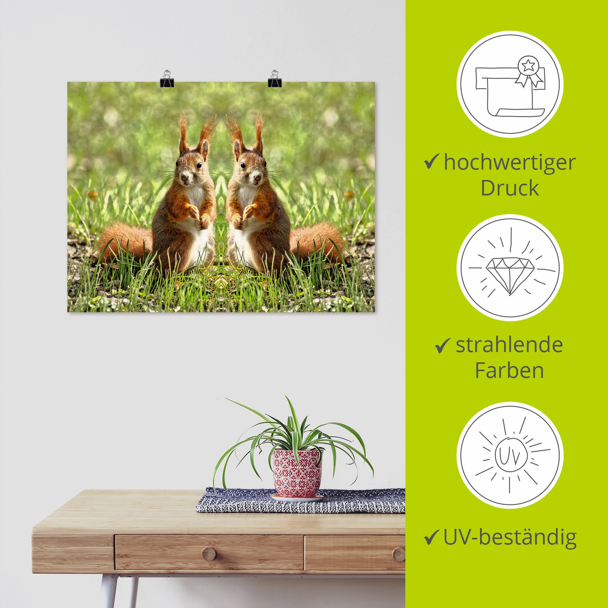 Artland Wandbild »Rote Eichhörnchen Zwillinge«, Wildtiere, (1 St.), als Leinwandbild, Poster in verschied. Größen