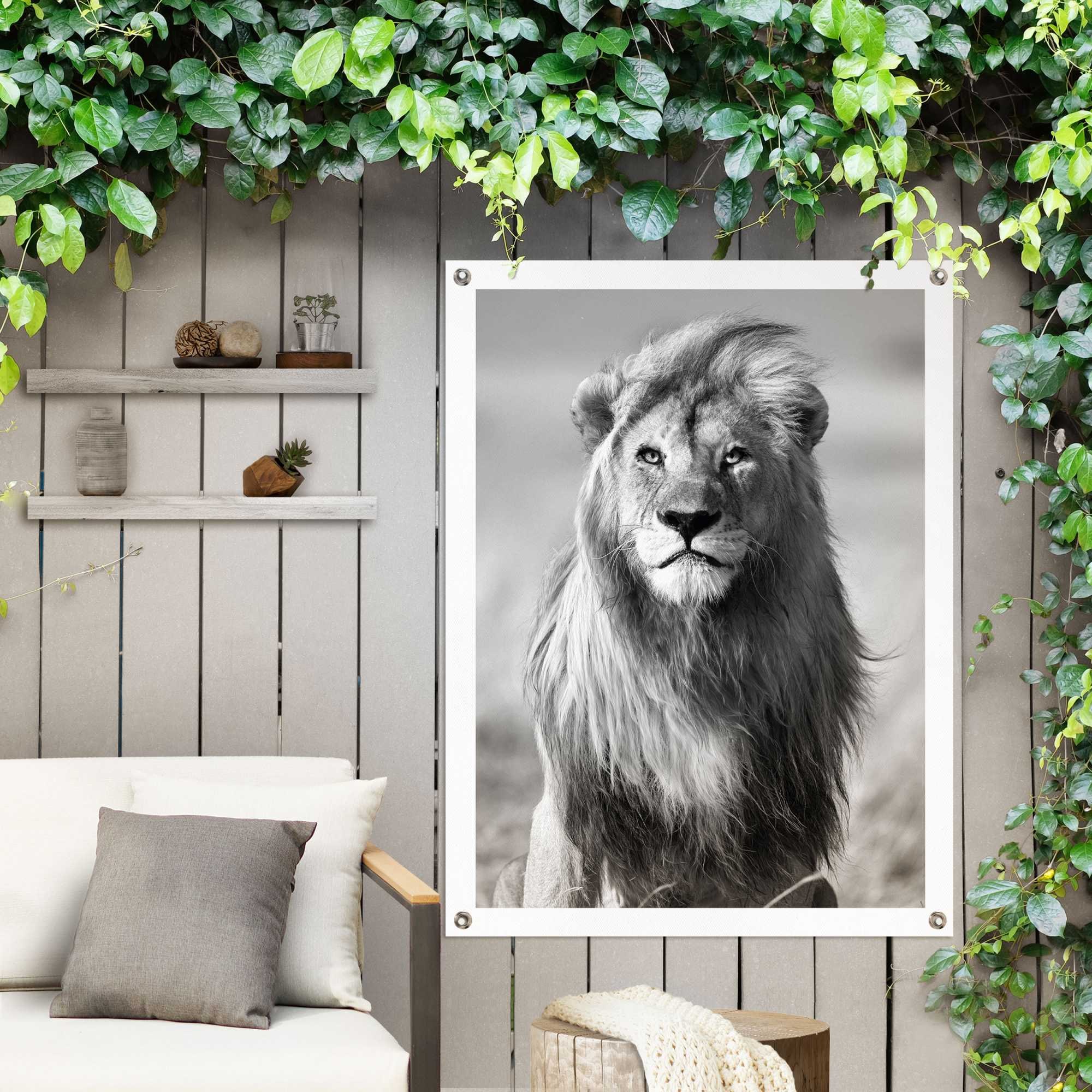 Reinders! Poster »Löwe«, Outdoor OTTO Balkon Garten oder im Online Shop für