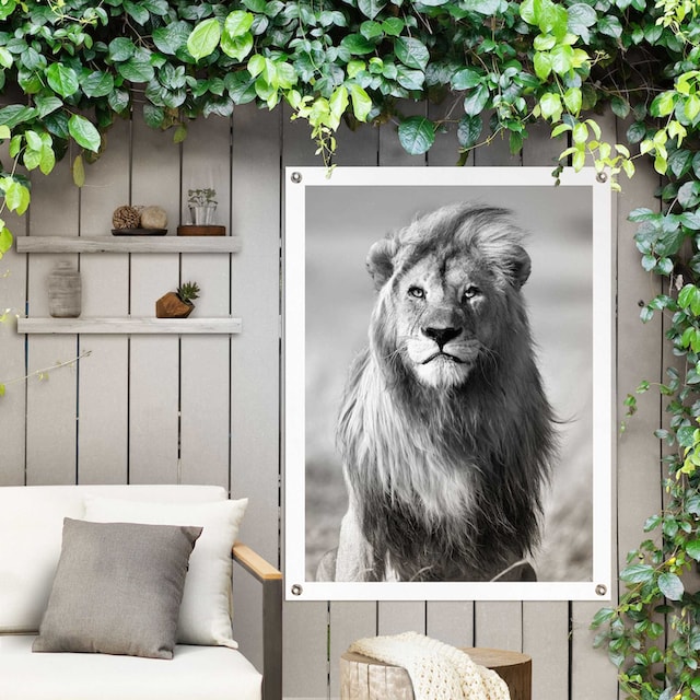 Reinders! Poster »Löwe«, Outdoor für Garten oder Balkon im OTTO Online Shop