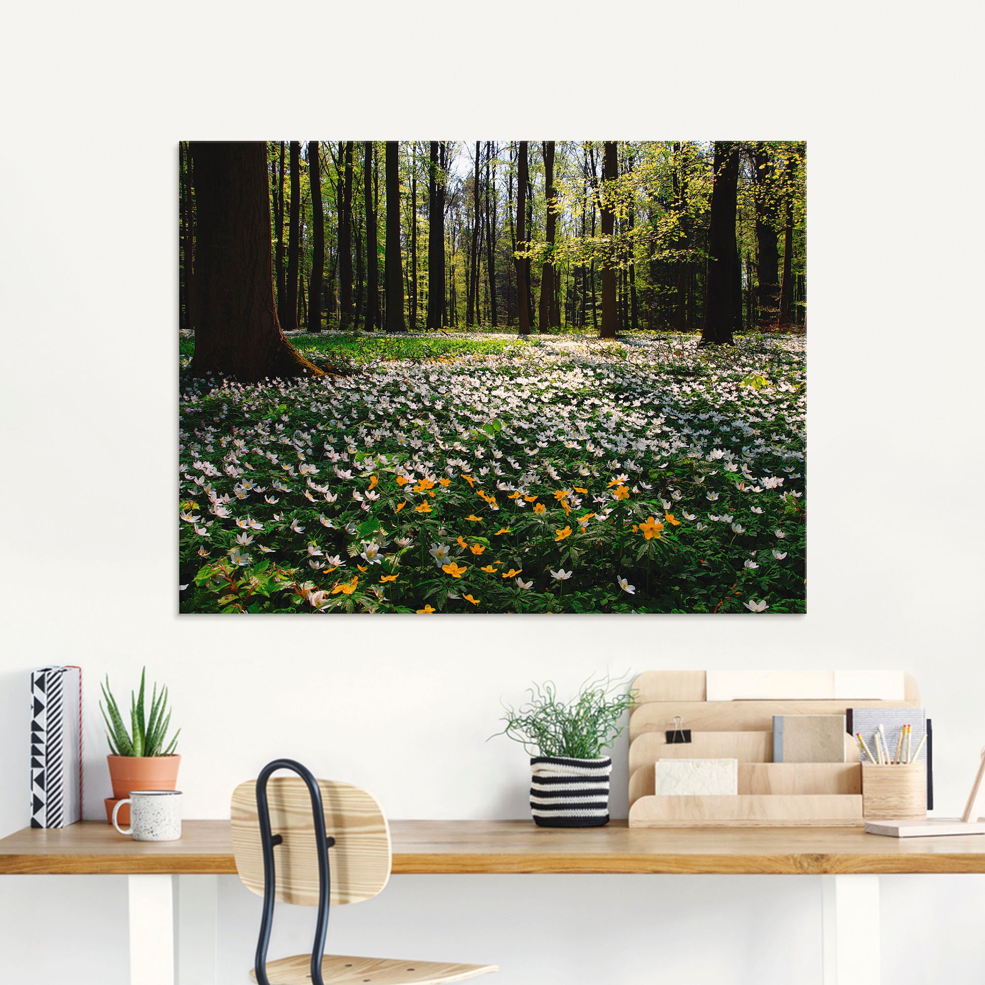 Artland Glasbild »Frühlingswald bedeckt mit Windröschen«, Wald, (1 St.), in verschiedenen Größen