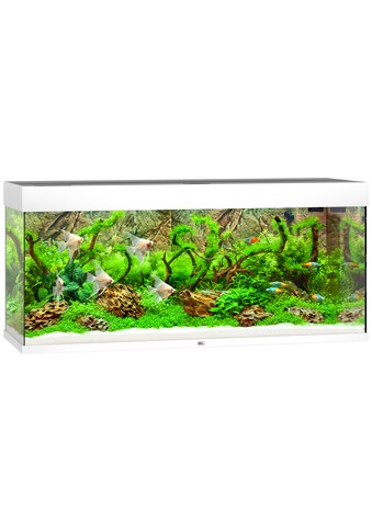 JUWEL AQUARIEN Aquarium »Rio 240 LED«, BxTxH: 121x41x55 cm, 240 l kaufen