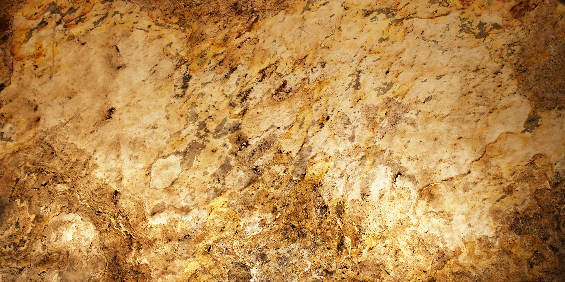 Slate Lite Dekorpaneele »Translucent Falling Leaves«, aus Naturstein