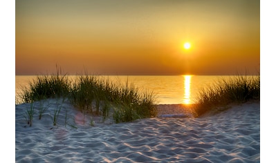 Papermoon Fototapete »Dunes Lake Michigan« kaufen