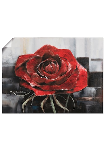 Artland Wandbild »Blühende rote Rose«, Blumen, (1 St.), als Leinwandbild,... kaufen