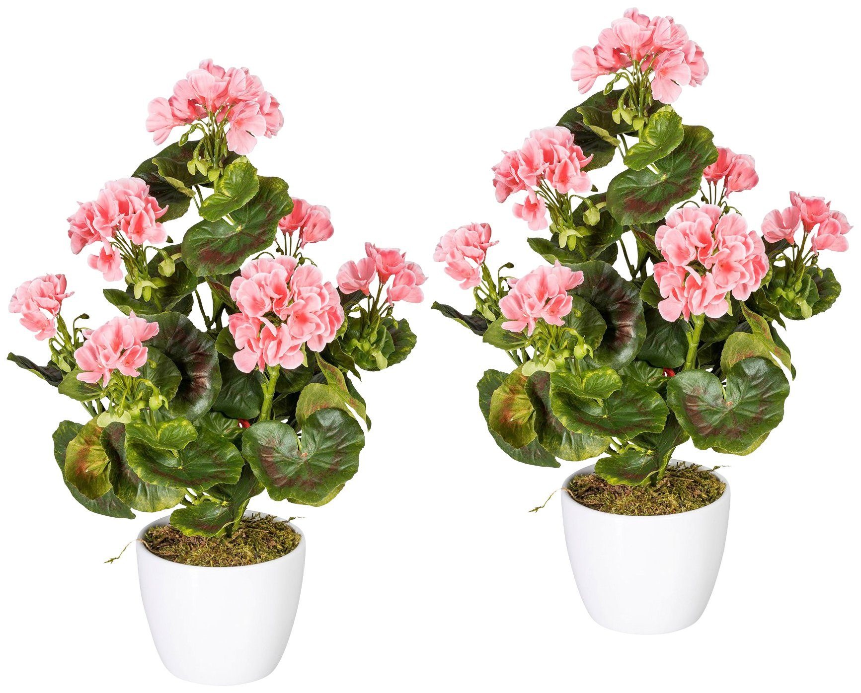 Creativ green Kunstpflanze »Geranienbusch rosa«, (Set, 2 St.), im Keramiktopf