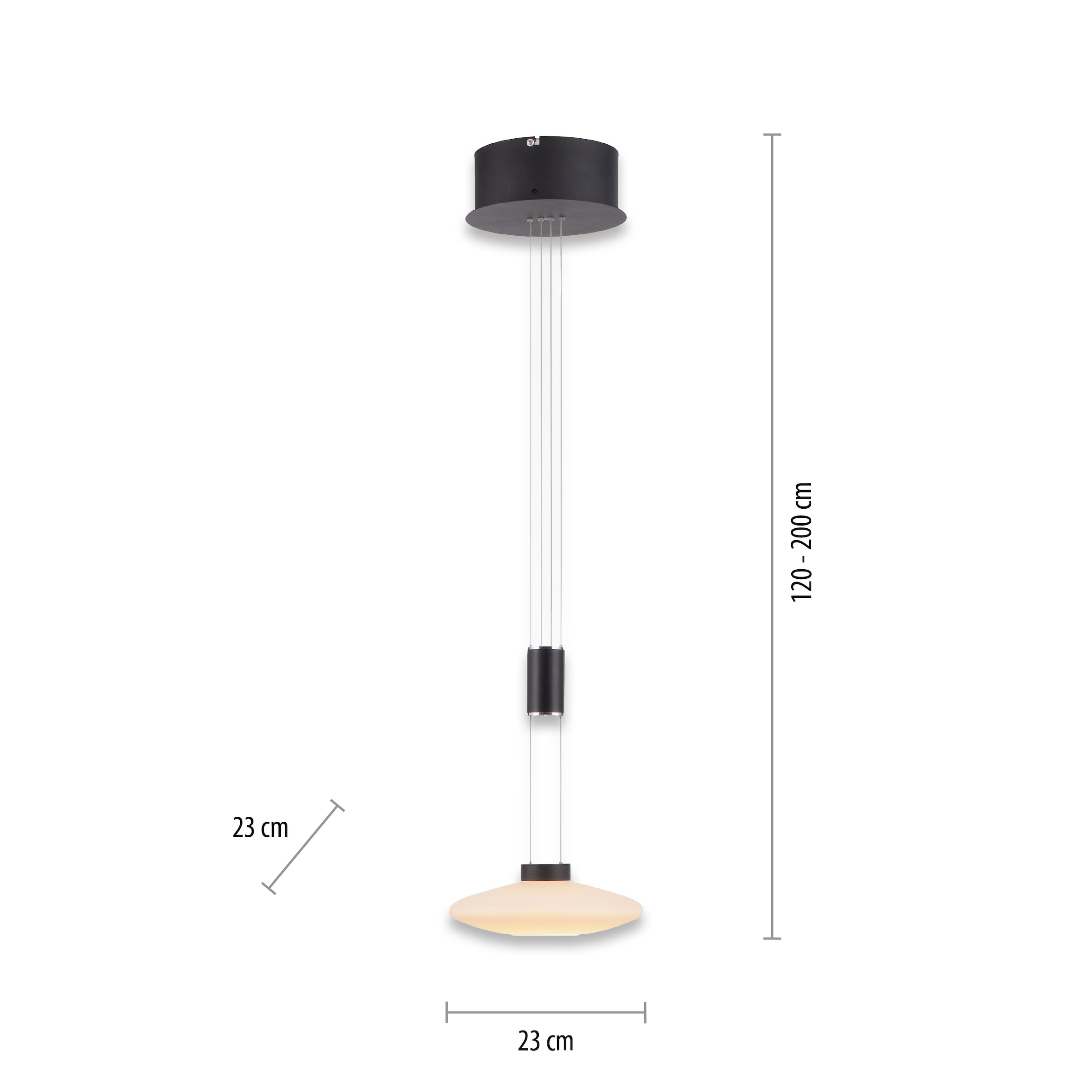 Paul Neuhaus Pendelleuchte »LAUTADA«, 1 flammig, Leuchtmittel LED-Board | LED fest integriert, LED, dimmbar, Simply Dim, Memory, nach Trennung vom Netz