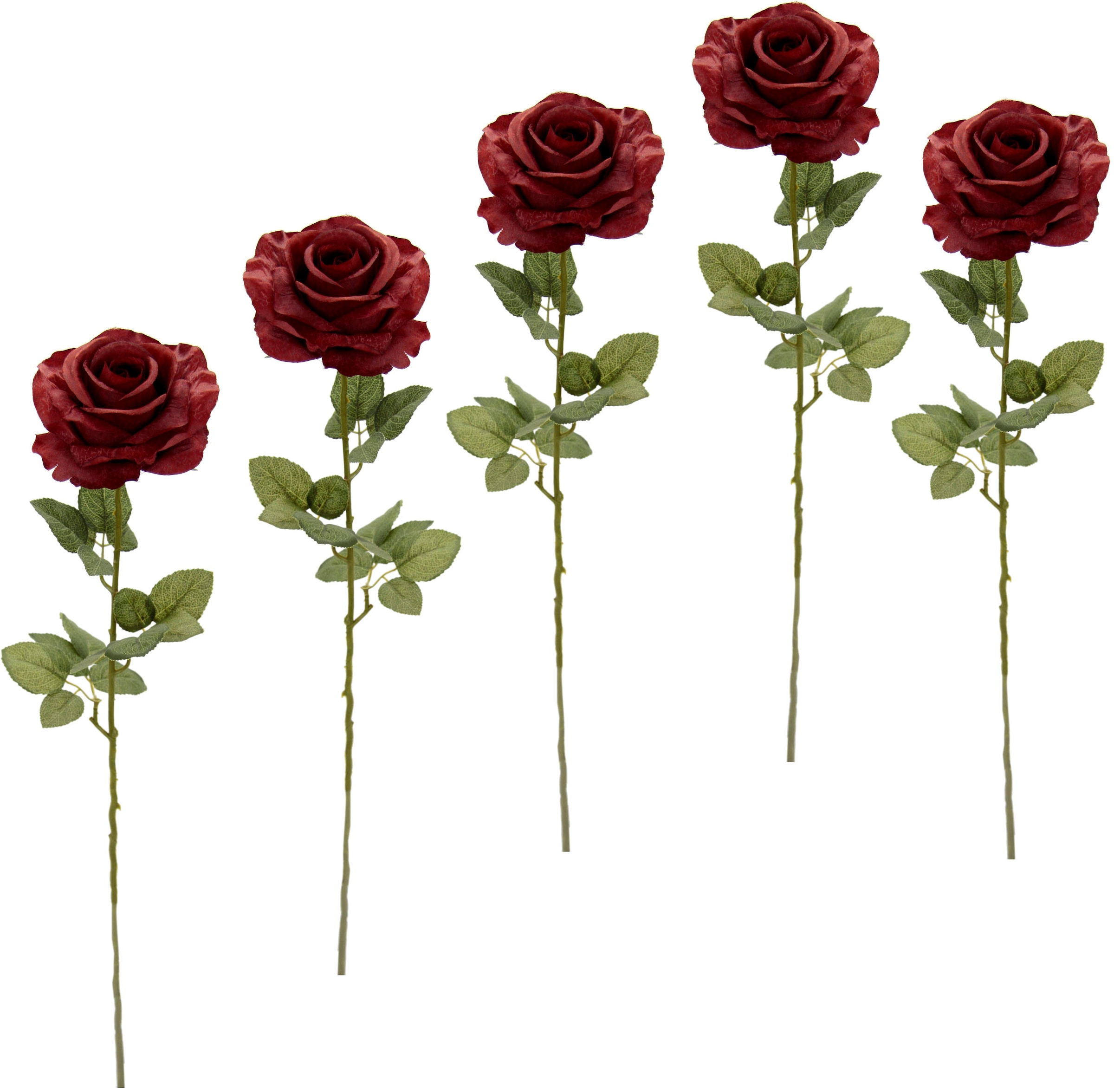 I.GE.A. Kunstblume »Rose«, (5 St.), 5er Set kaufen