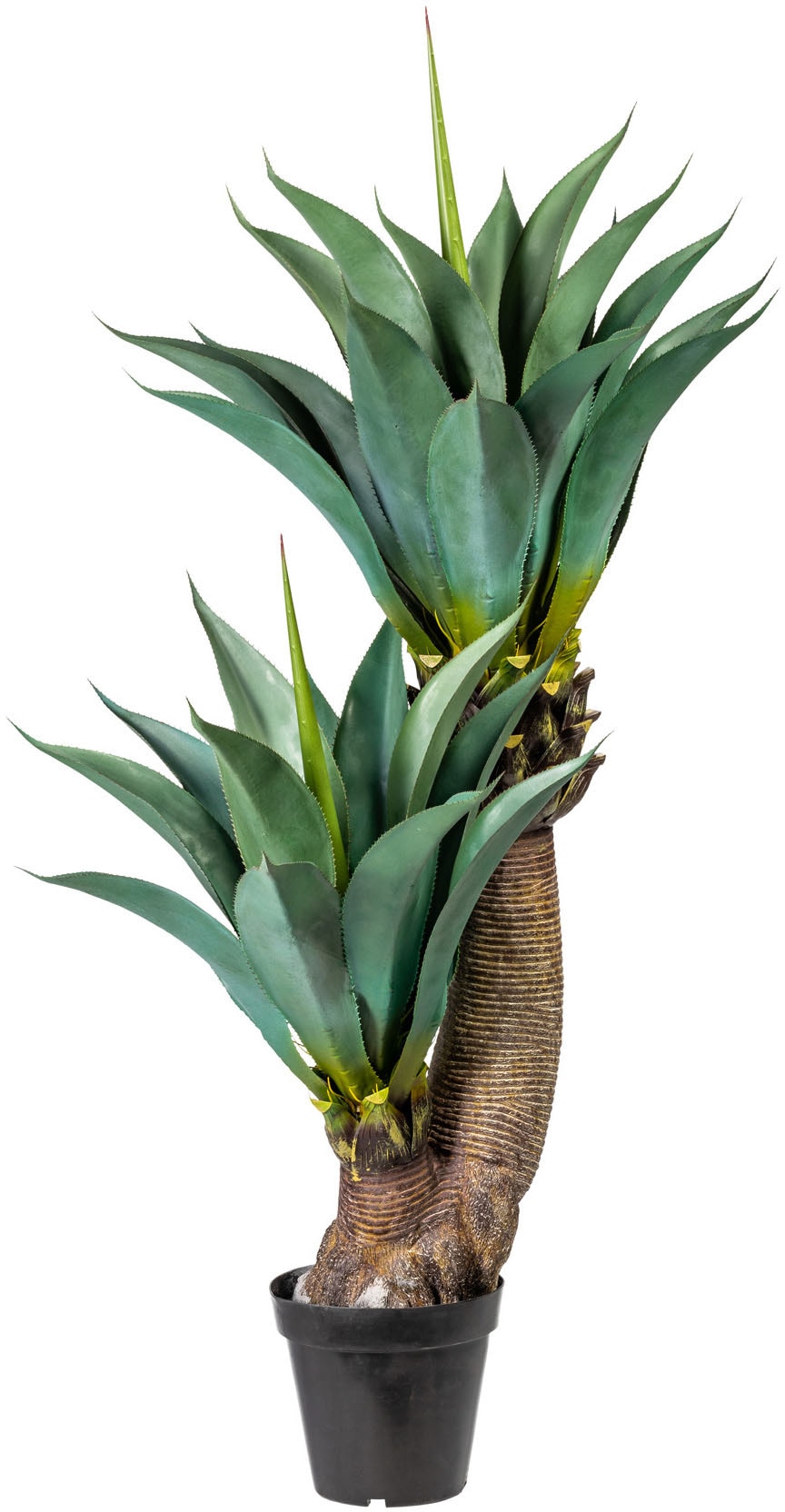 Creativ green Künstliche Zimmerpflanze »Agave«