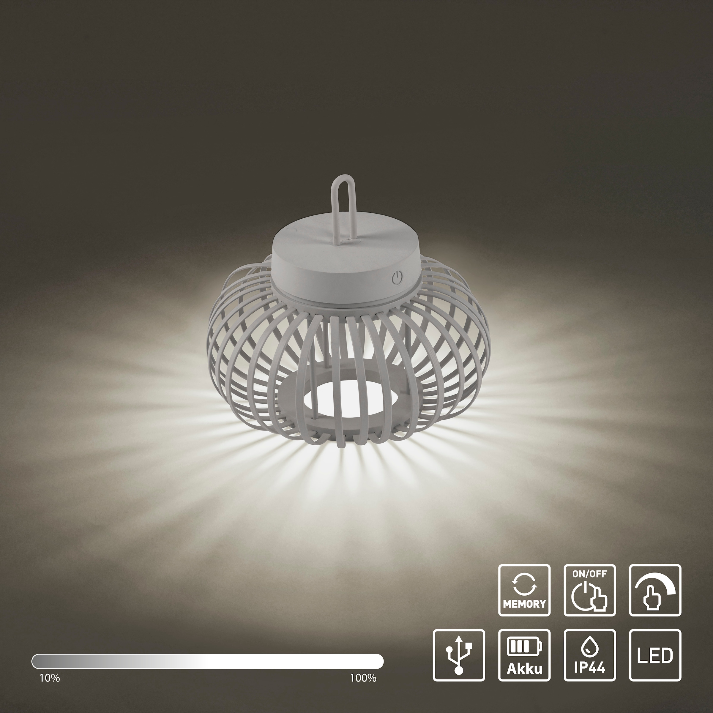 JUST LIGHT Pendelleuchte »AKUBA« LED-Modul 1 Stk. Warmweiß Akkuleuchte